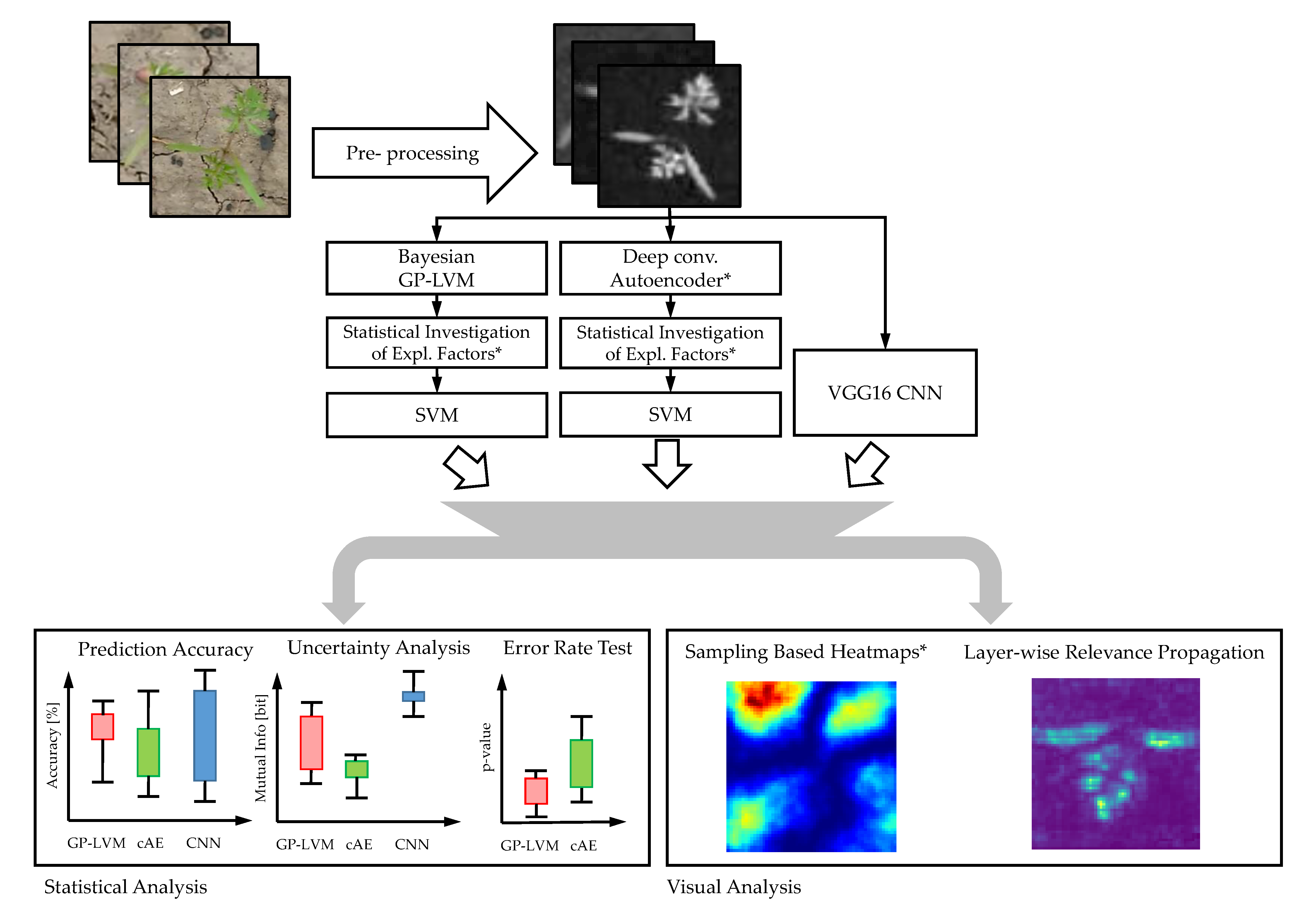 Plants 10 02674 g002 550