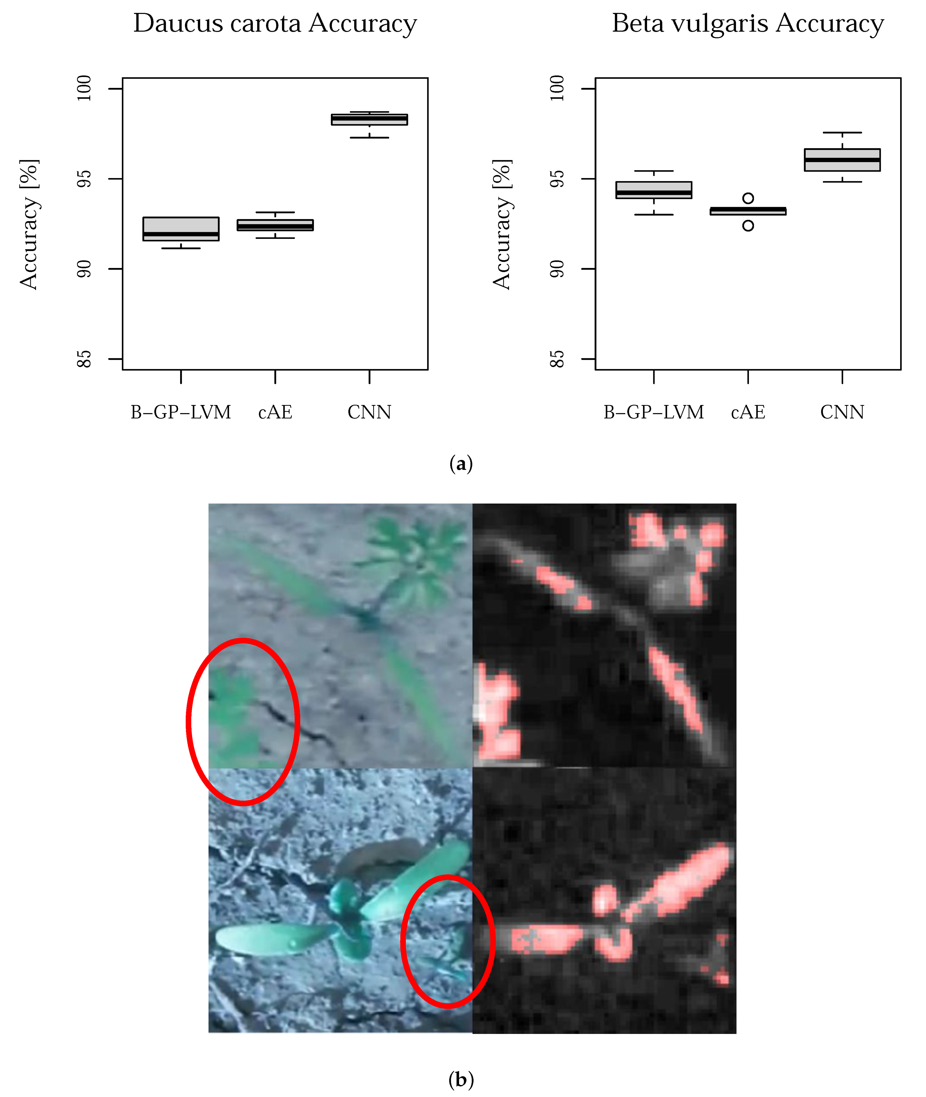 Plants 10 02674 g005 550