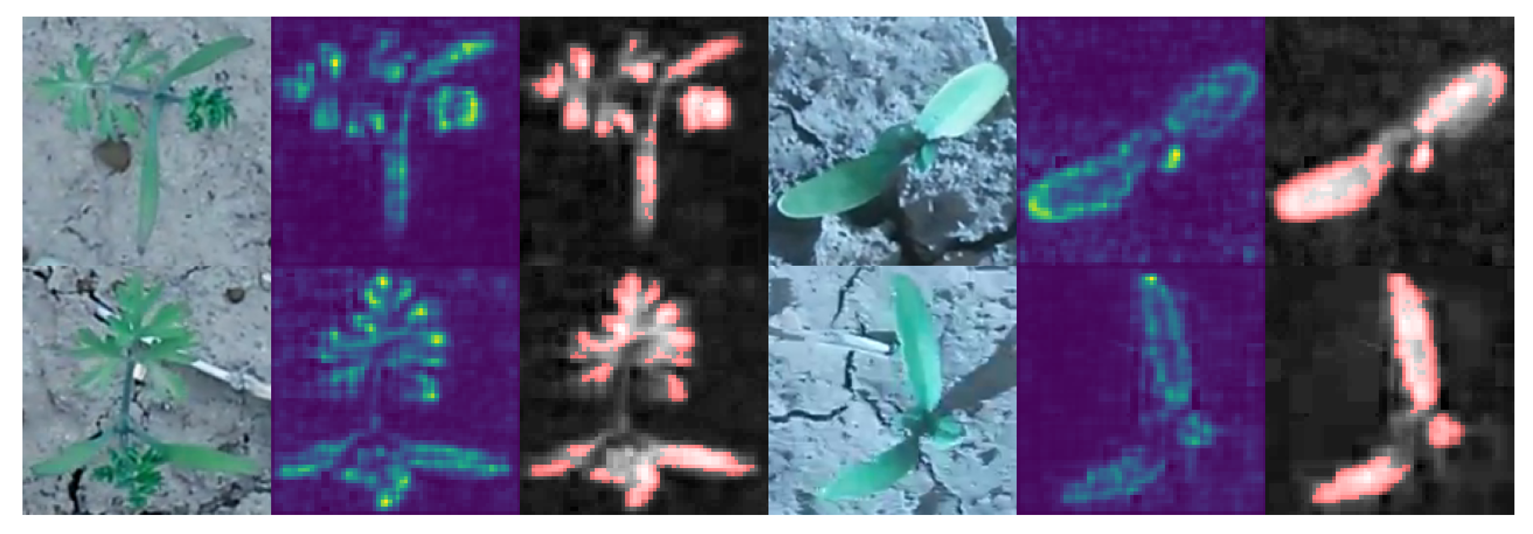 Plants 10 02674 g008 550