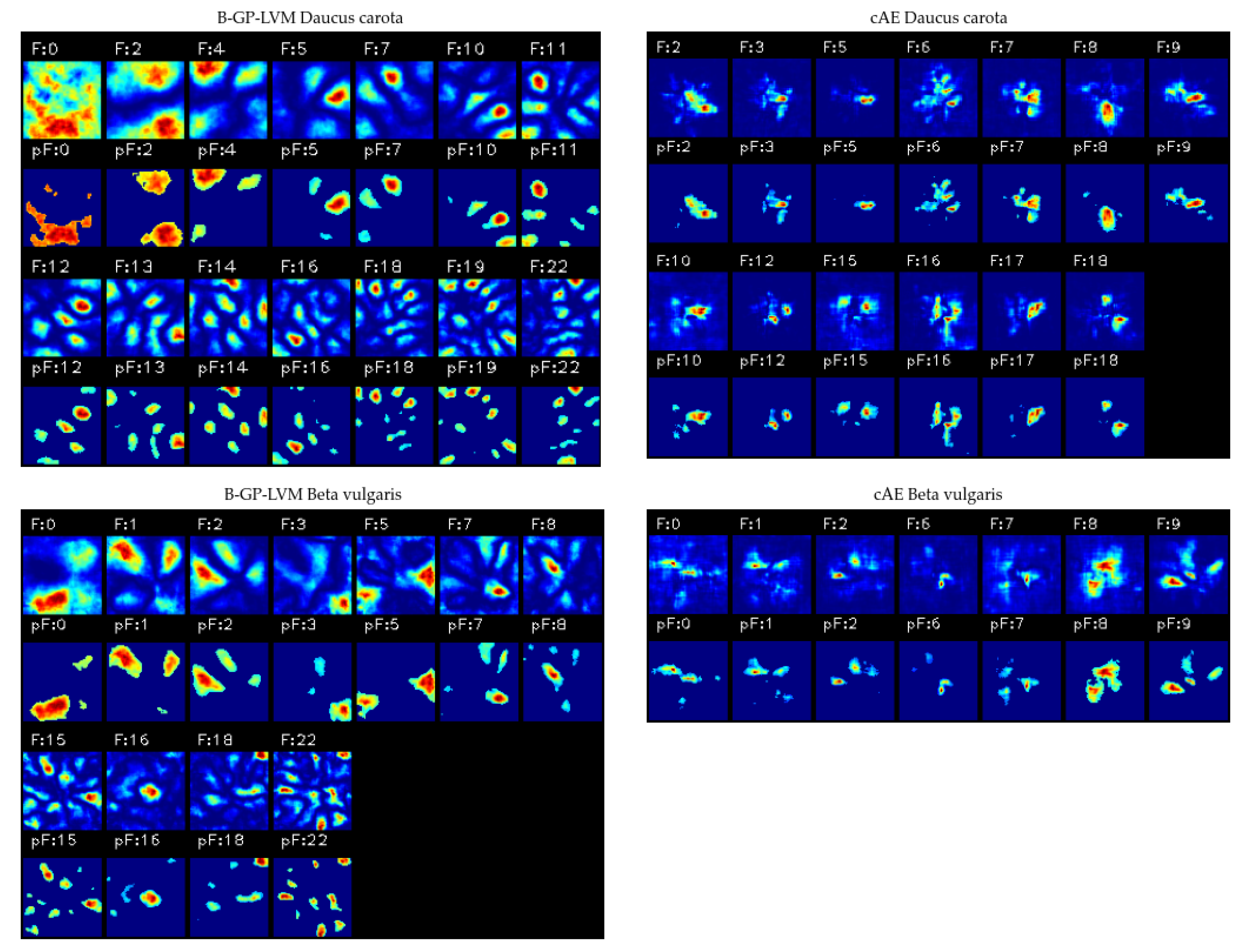 Plants 10 02674 g010 550