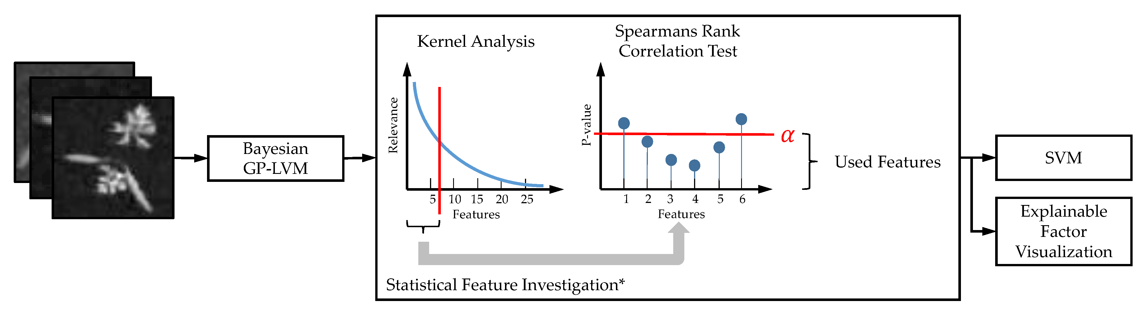 Plants 10 02674 g011 550