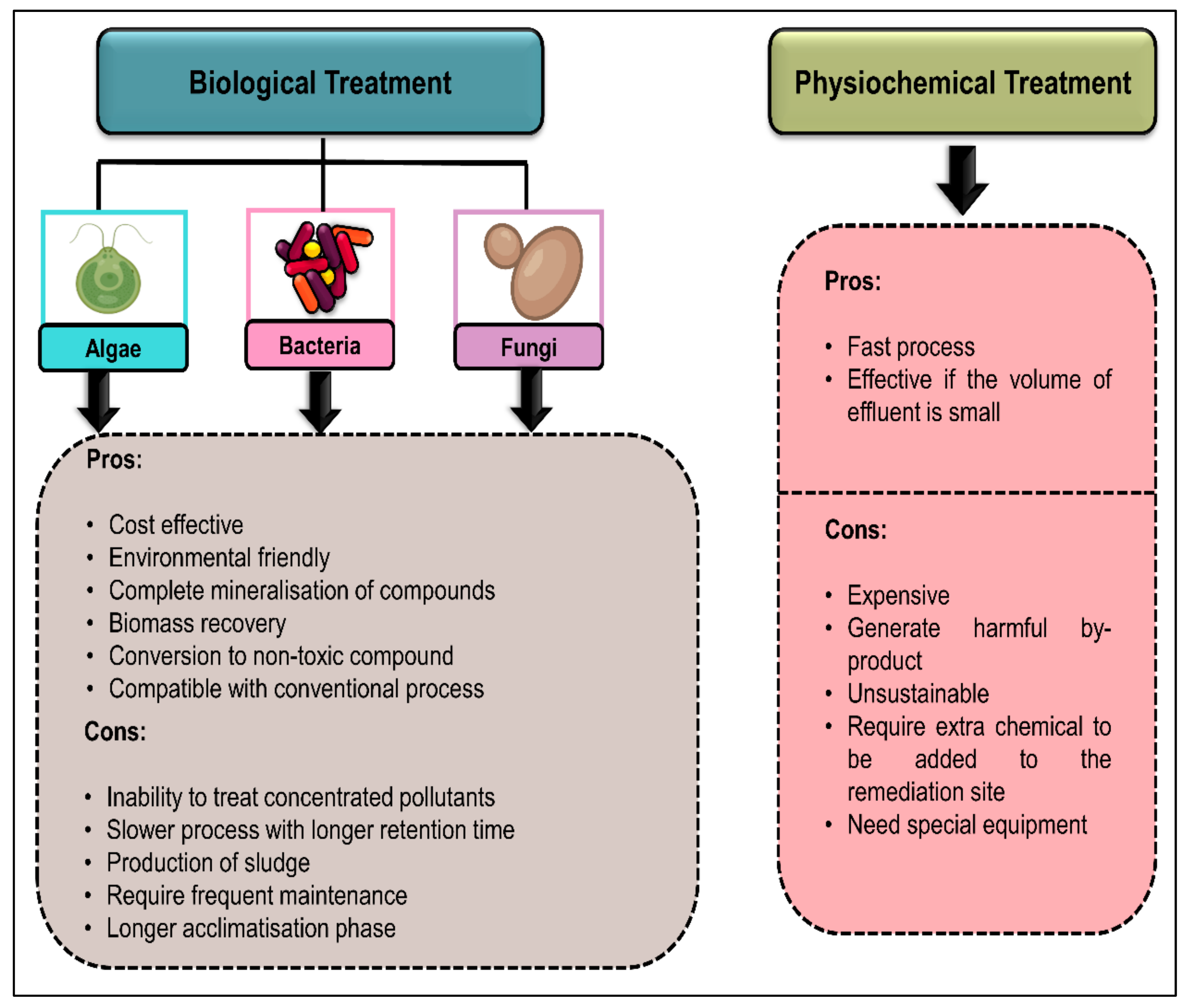 Plants 10 02677 g008