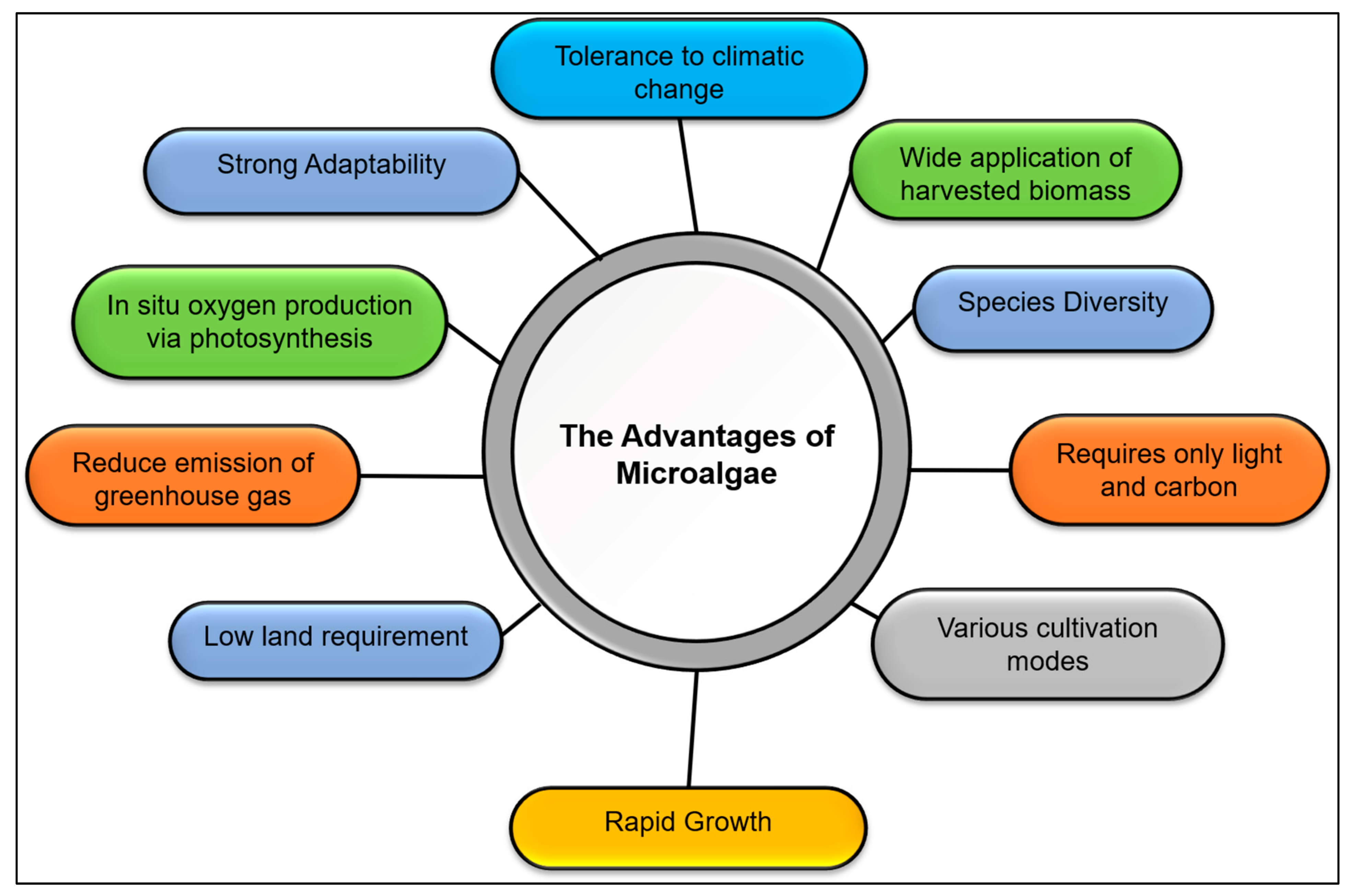 Plants 10 02677 g018