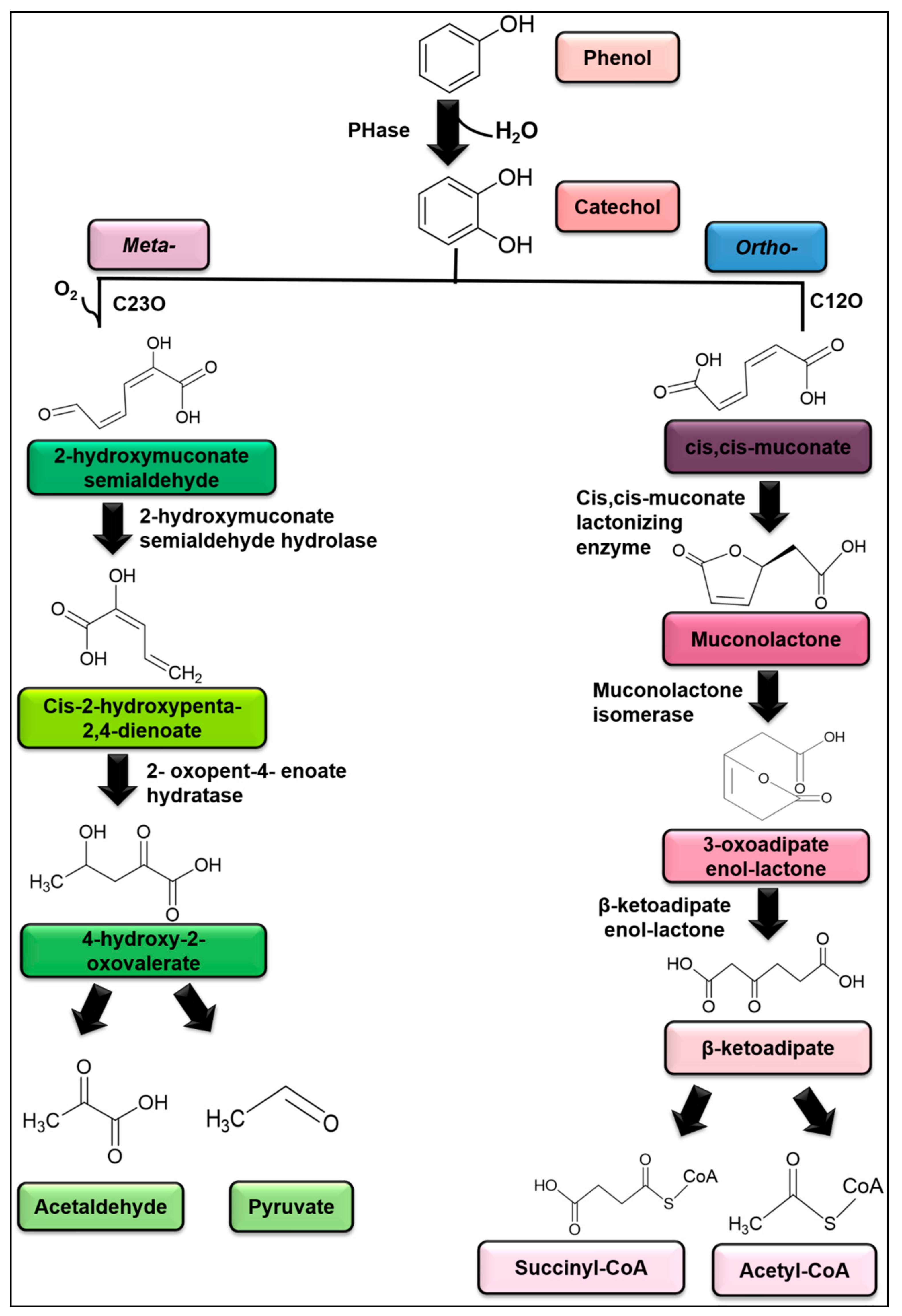 Plants 10 02677 g019