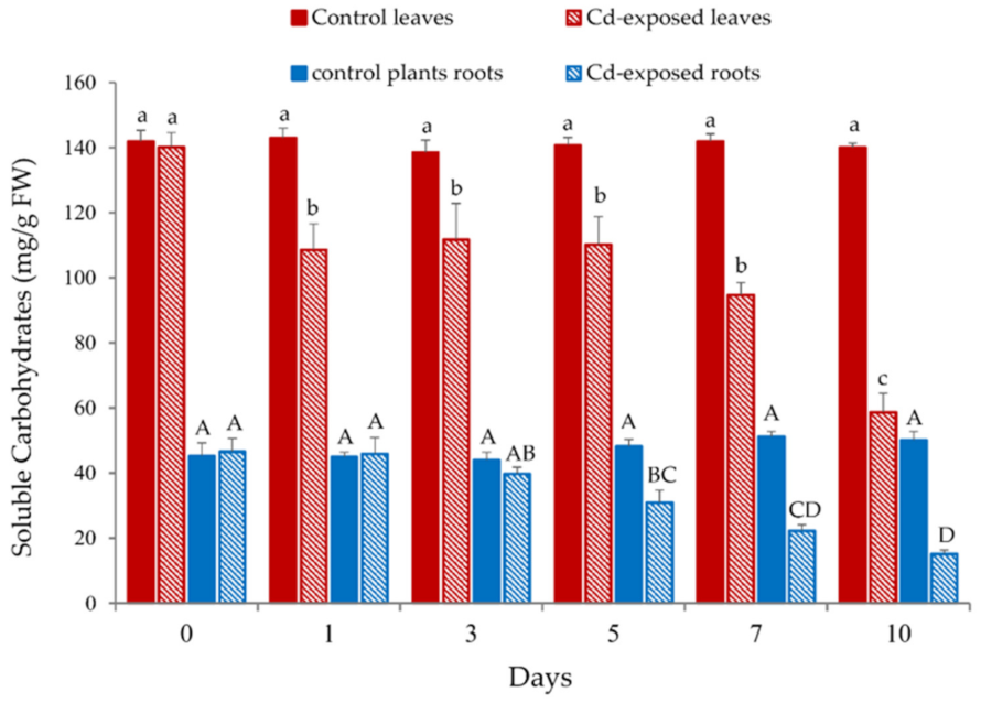 Plants 10 02679 g005 Plants 10 02679 g005