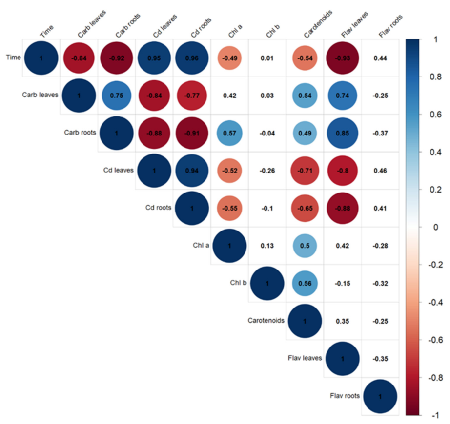 Plants 10 02679 g007 Plants 10 02679 g007