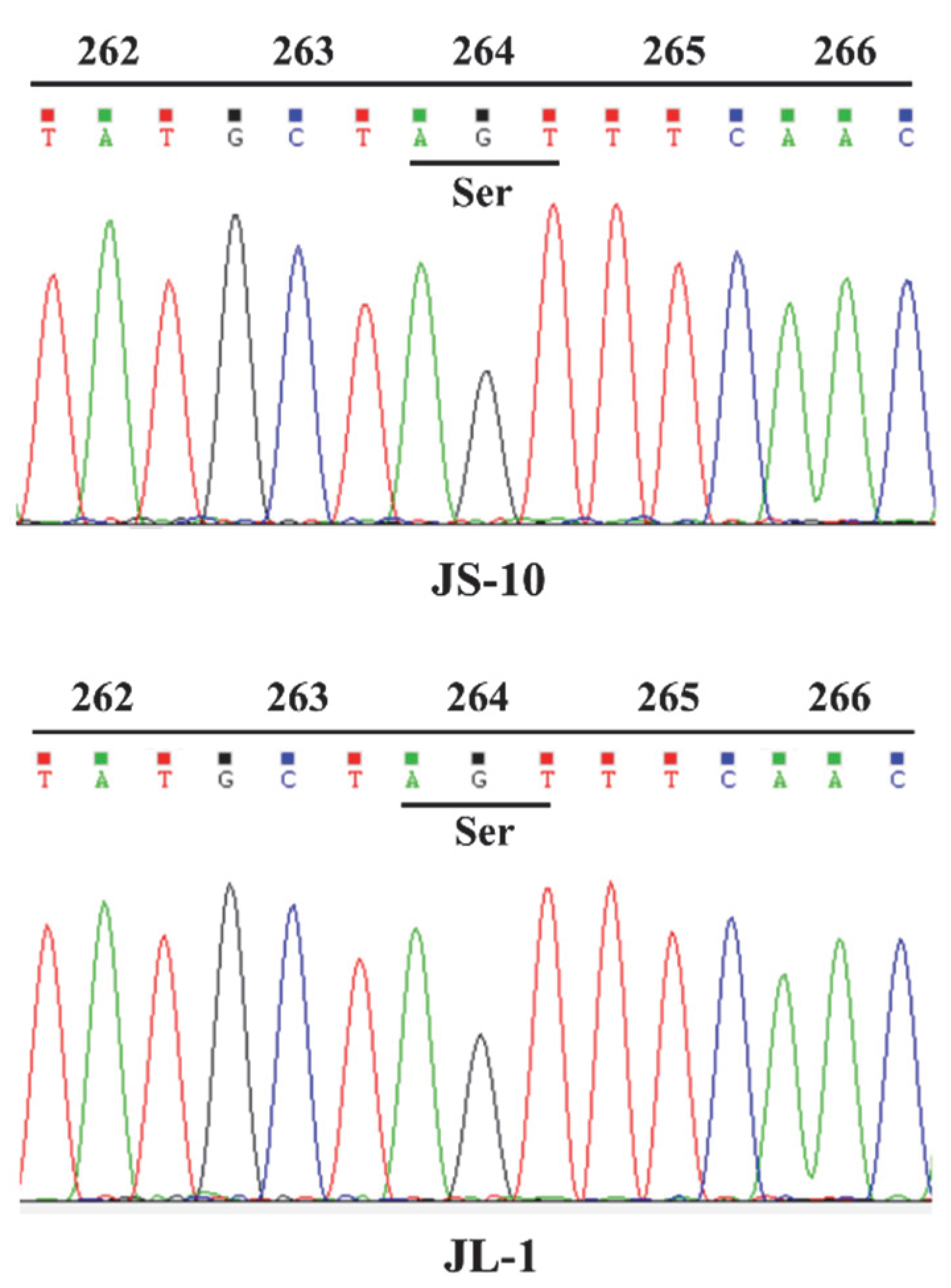 Plants 10 02685 g002 550