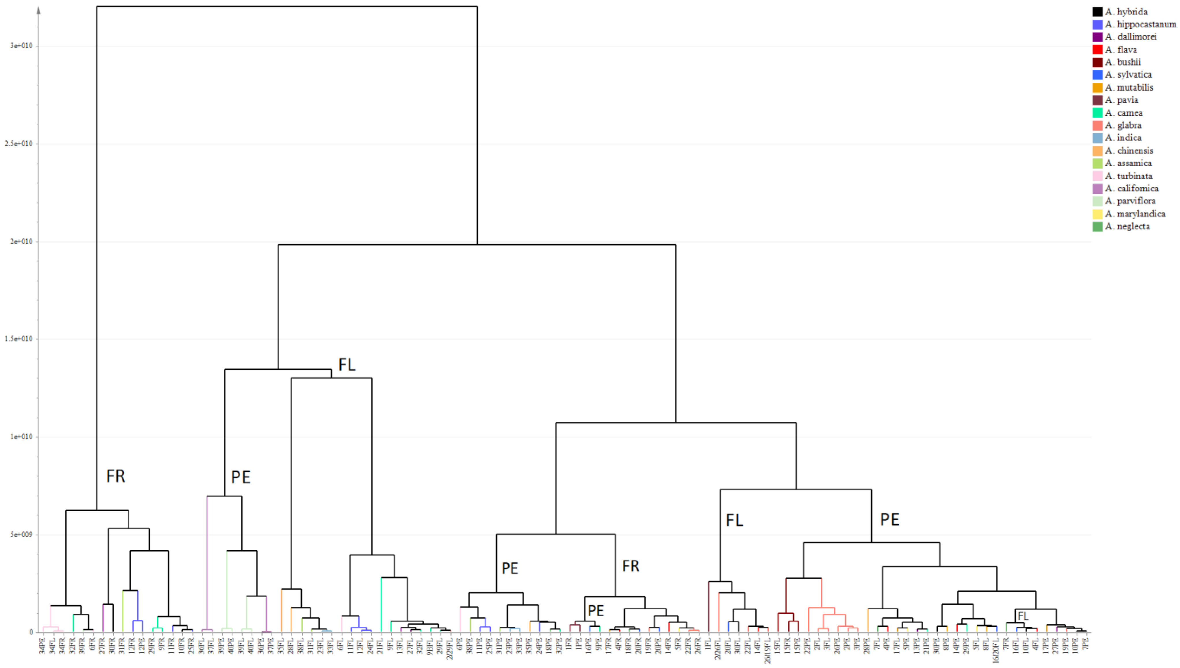 Plants 10 02695 g002 550