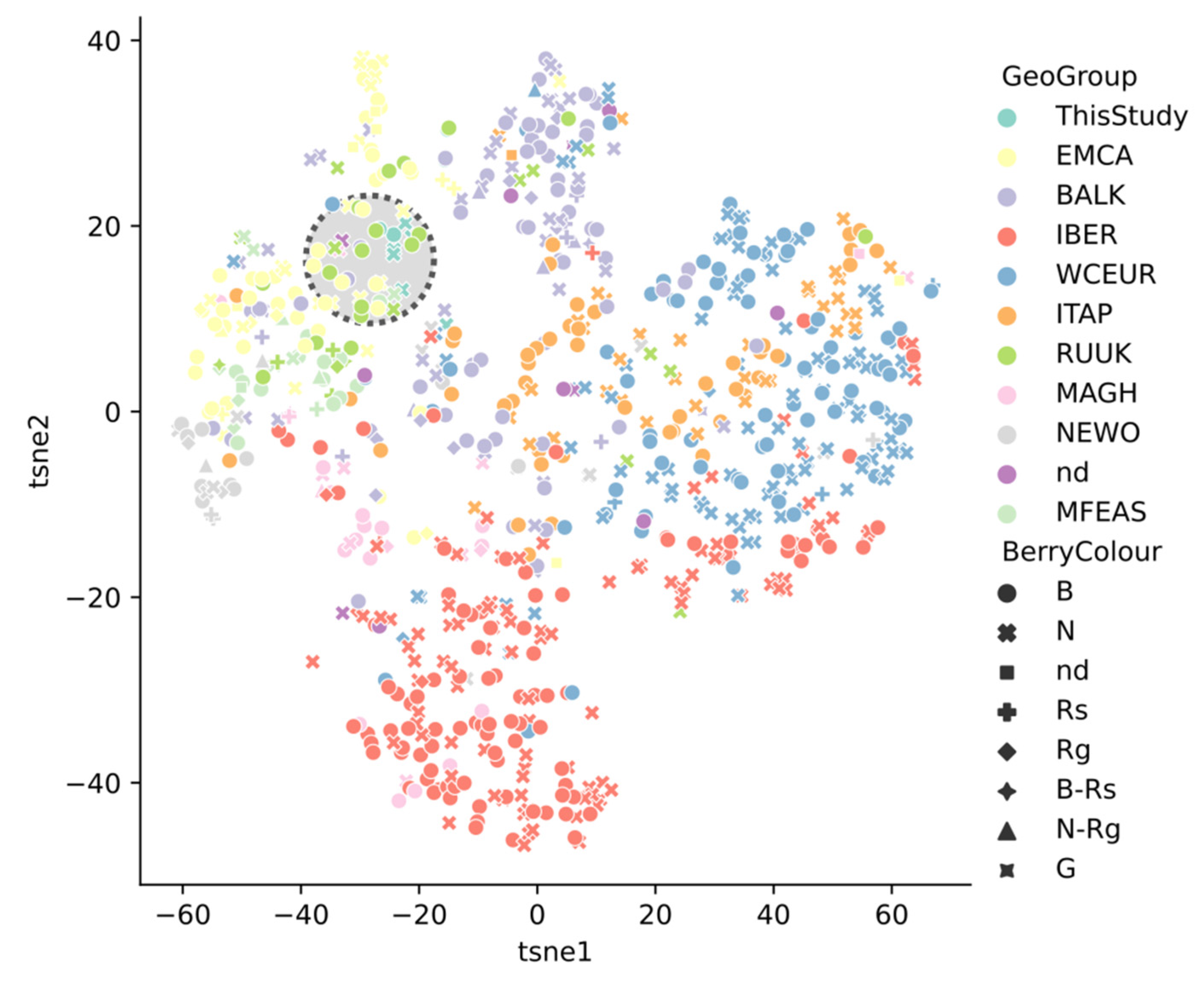 Plants 10 02696 g002