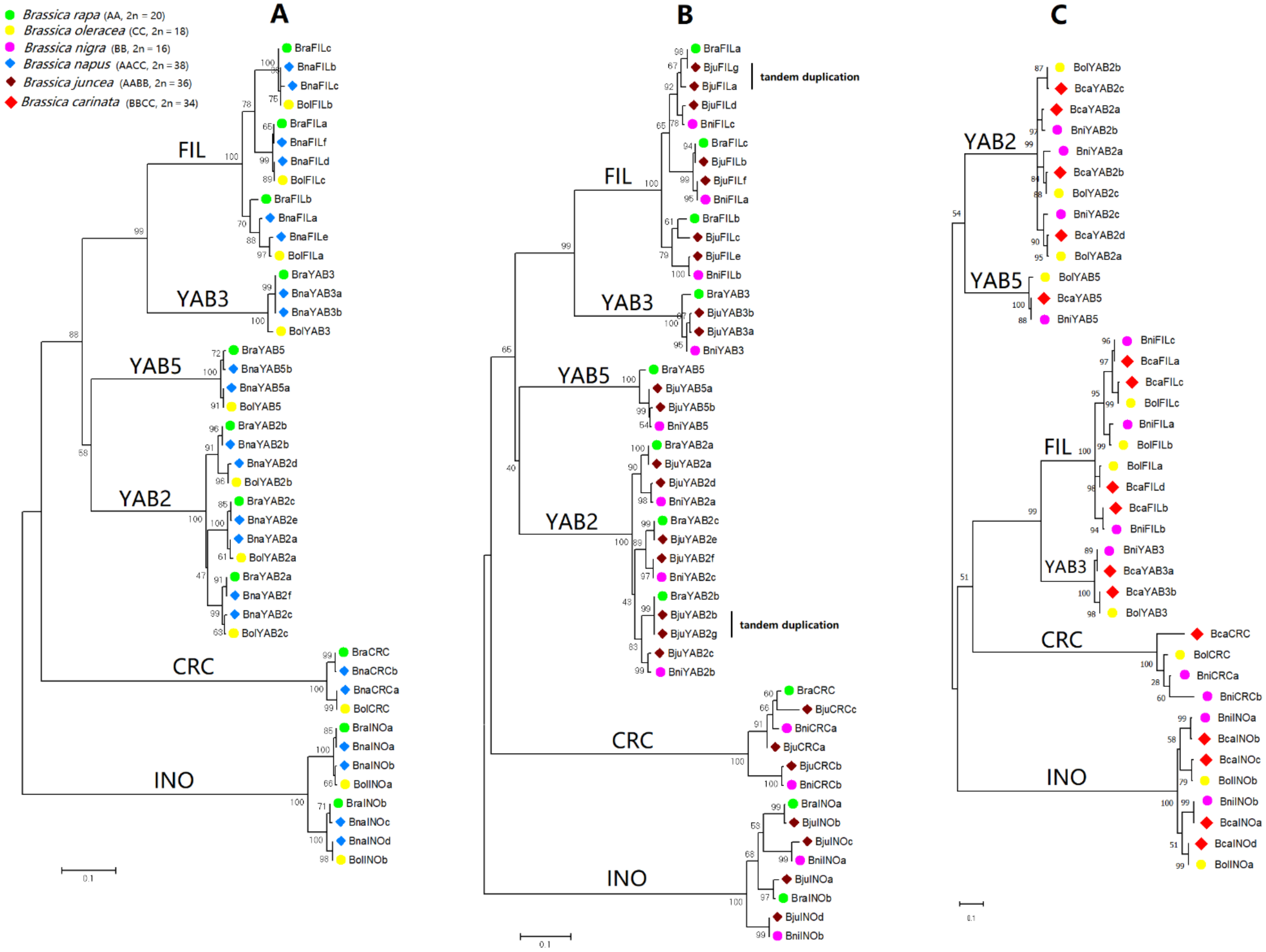 Plants 10 02700 g003 Plants 10 02700 g003