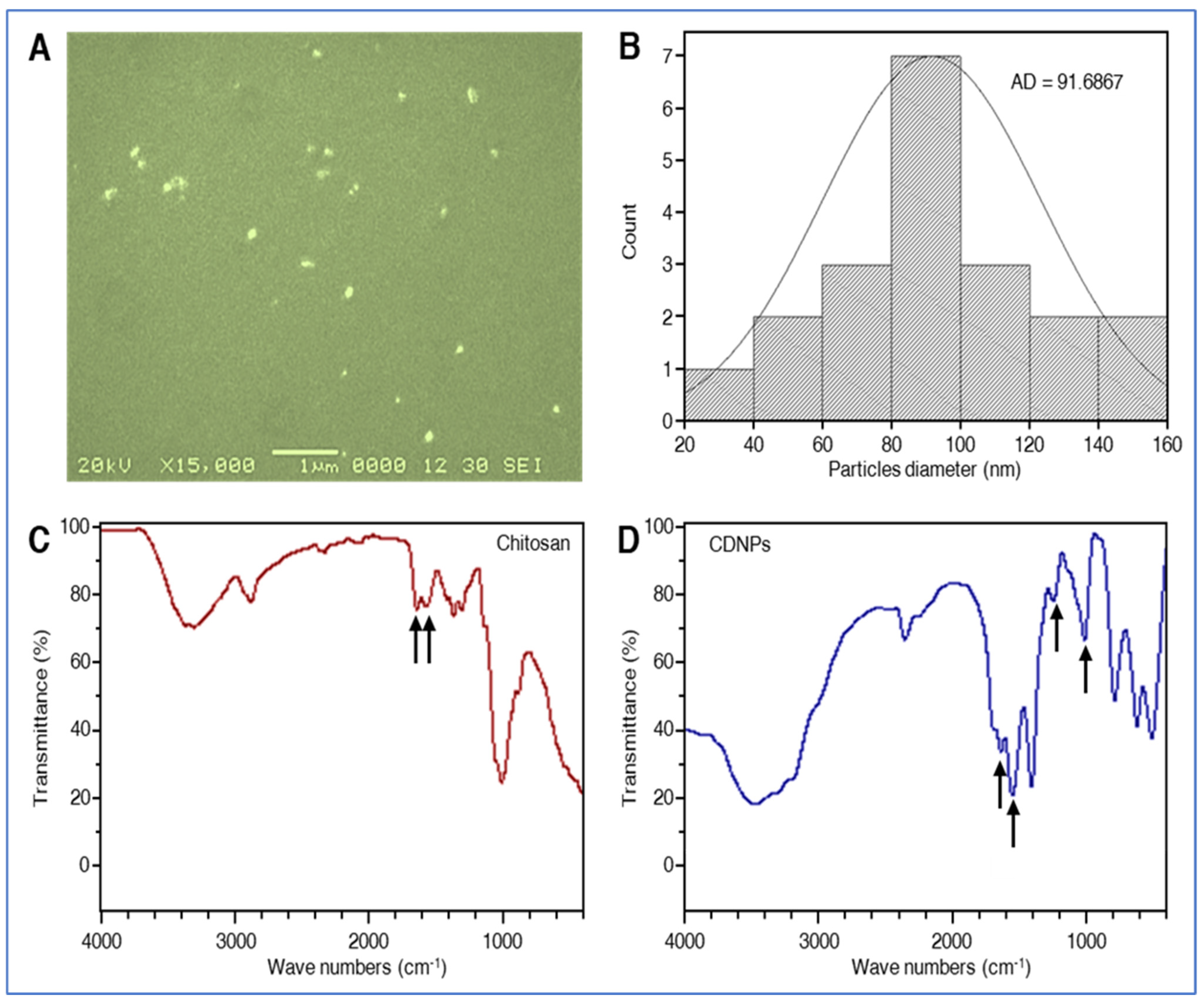Plants 10 02701 g001