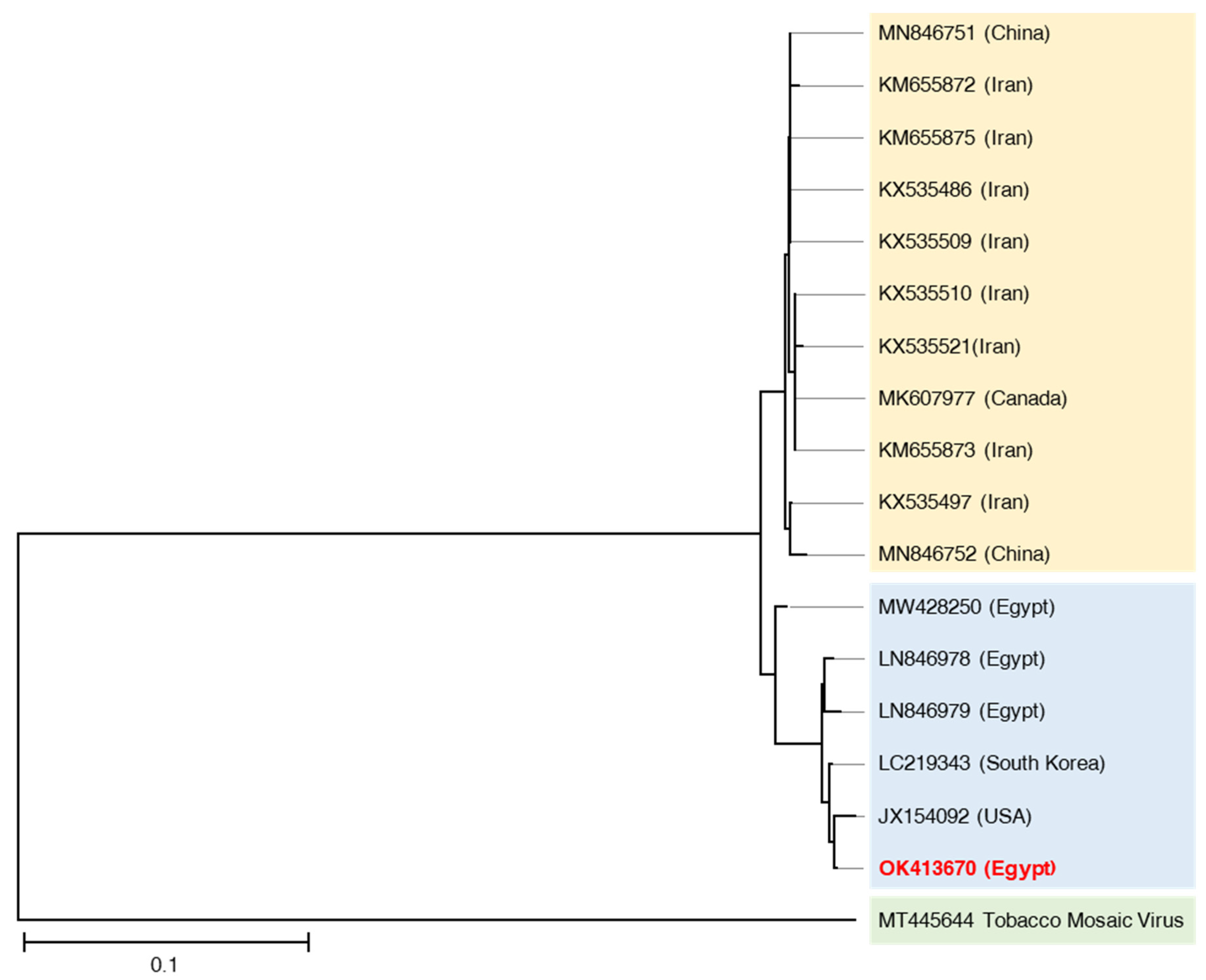 Plants 10 02701 g003