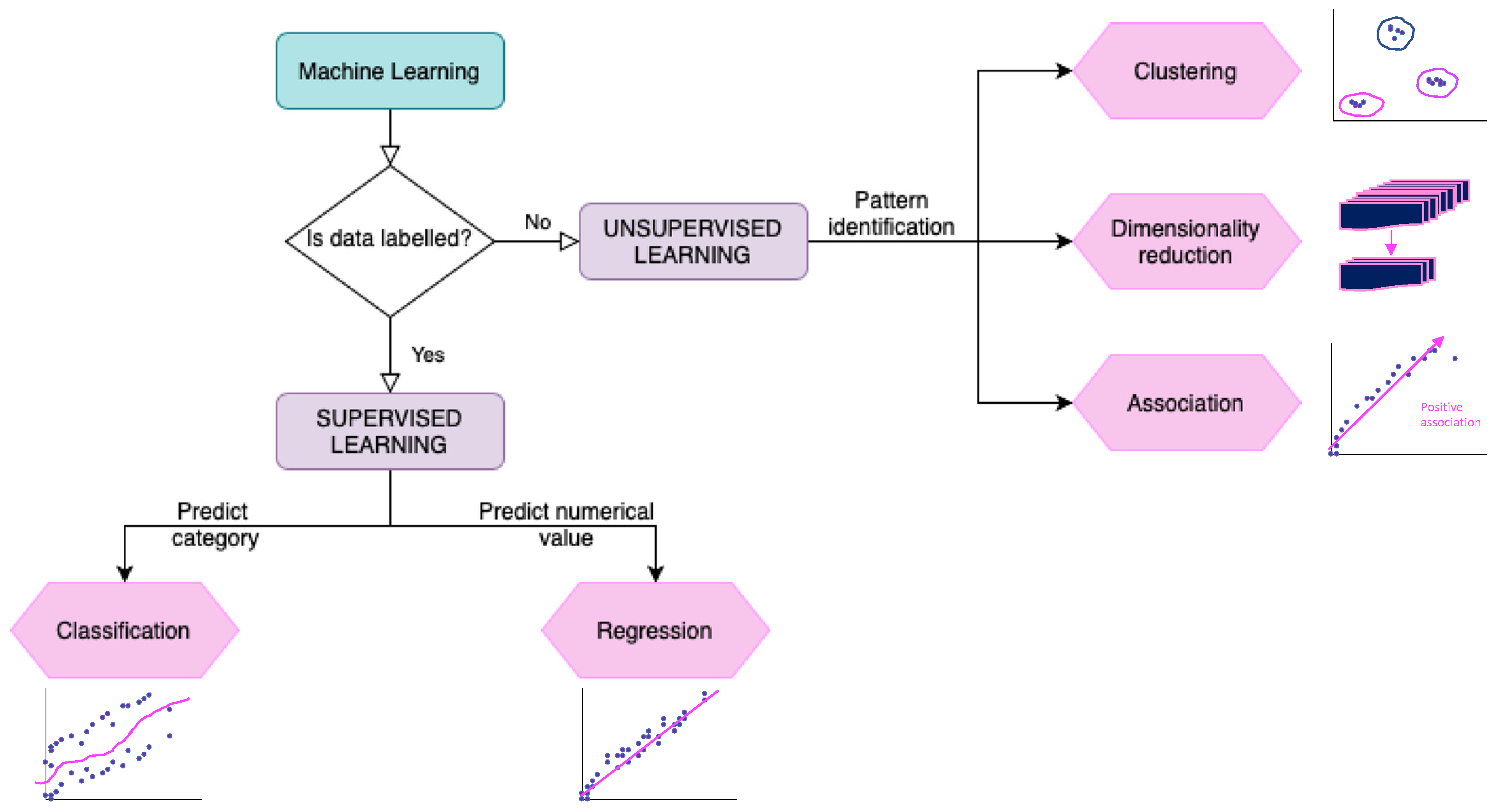 Plants 10 02707 g001 550