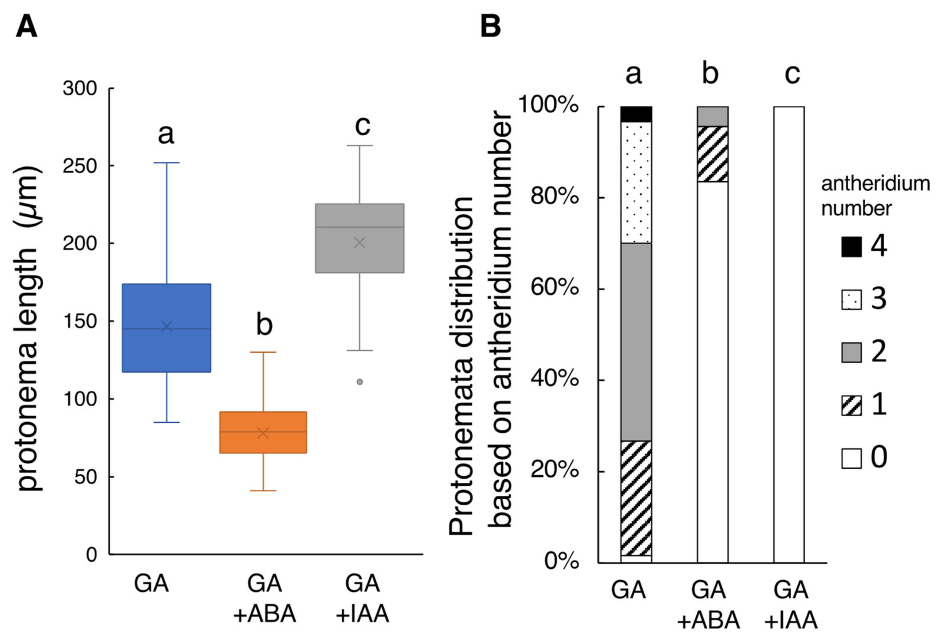 Plants 10 02709 g002 Plants 10 02709 g002