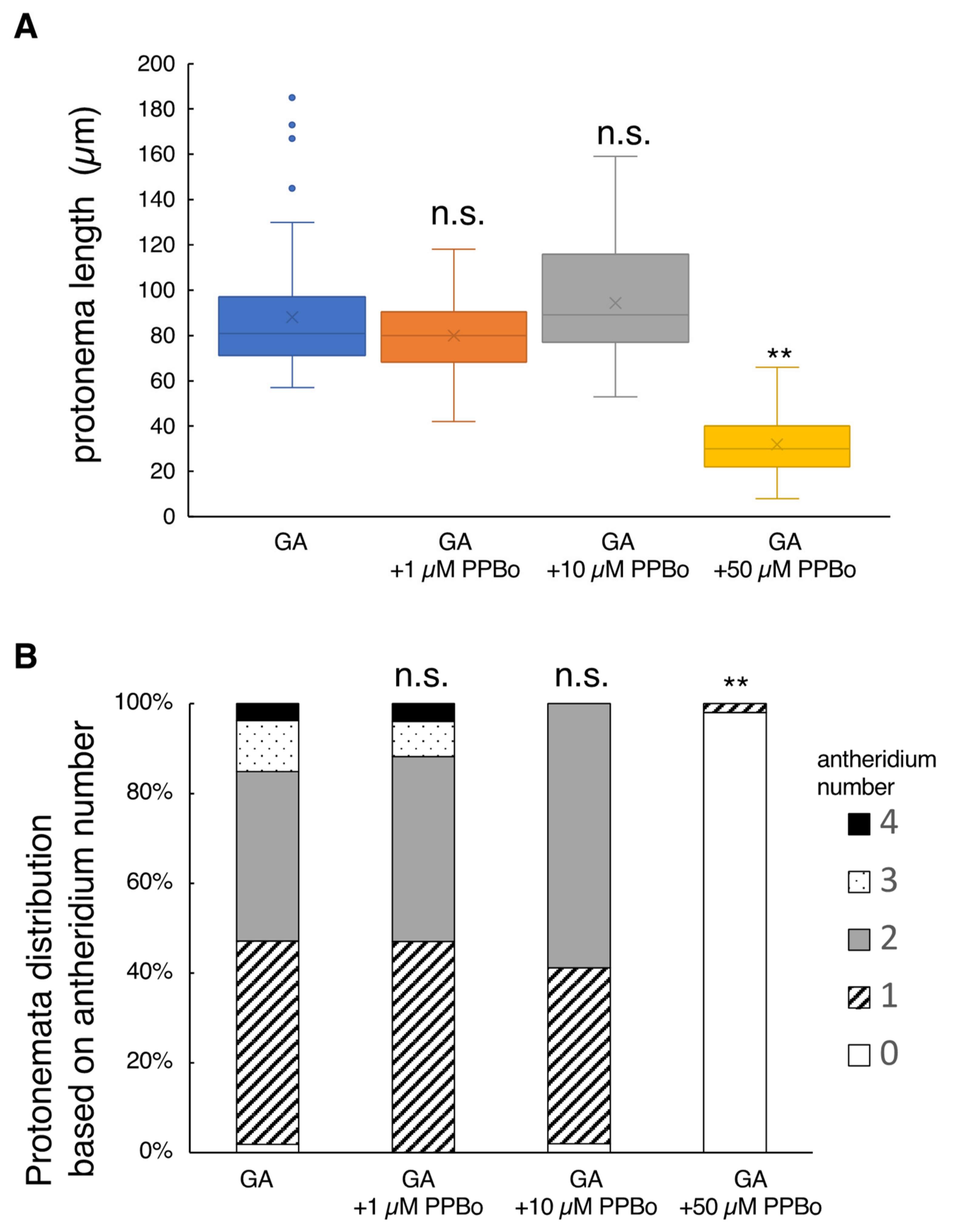 Plants 10 02709 g003 Plants 10 02709 g003