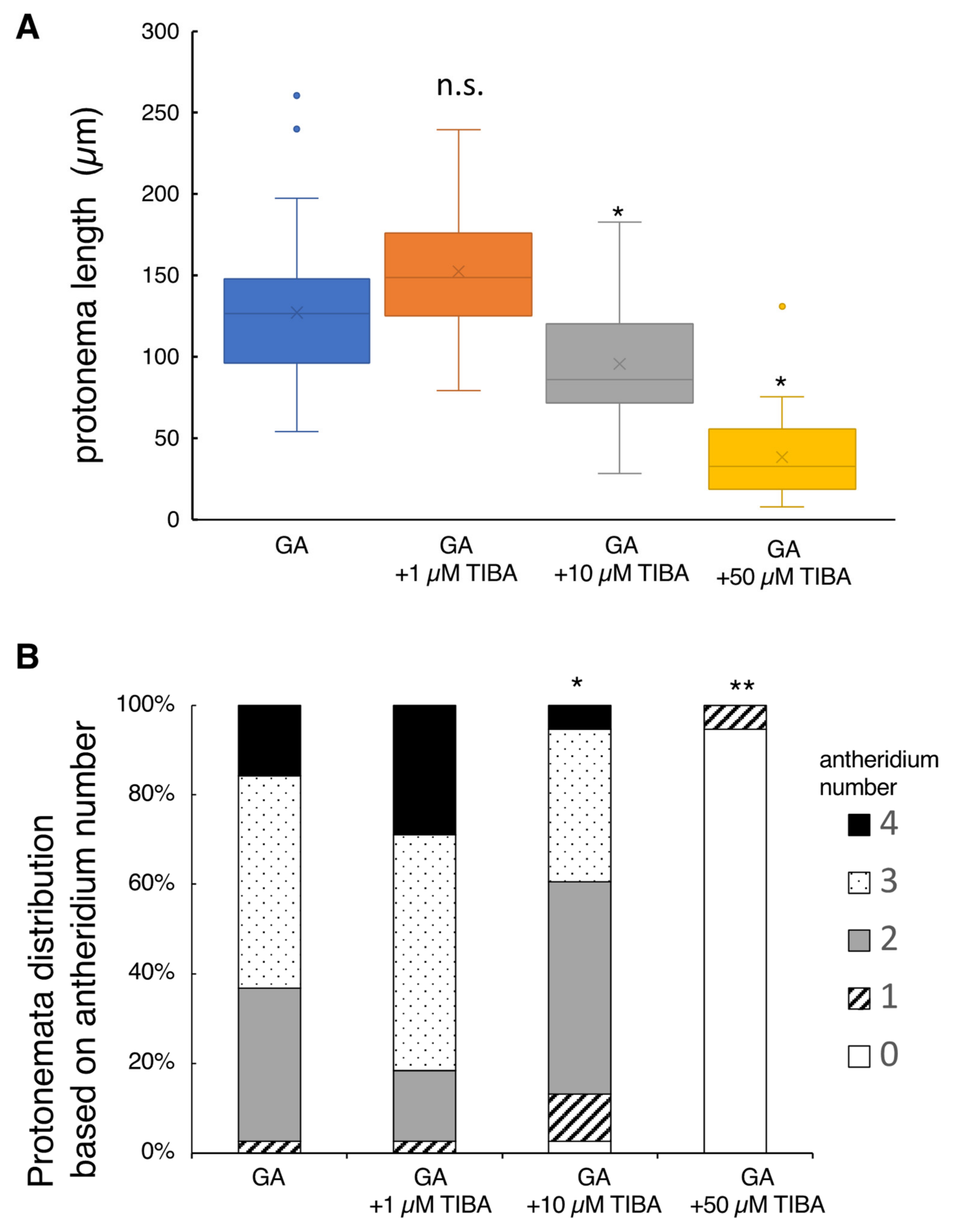 Plants 10 02709 g004 Plants 10 02709 g004