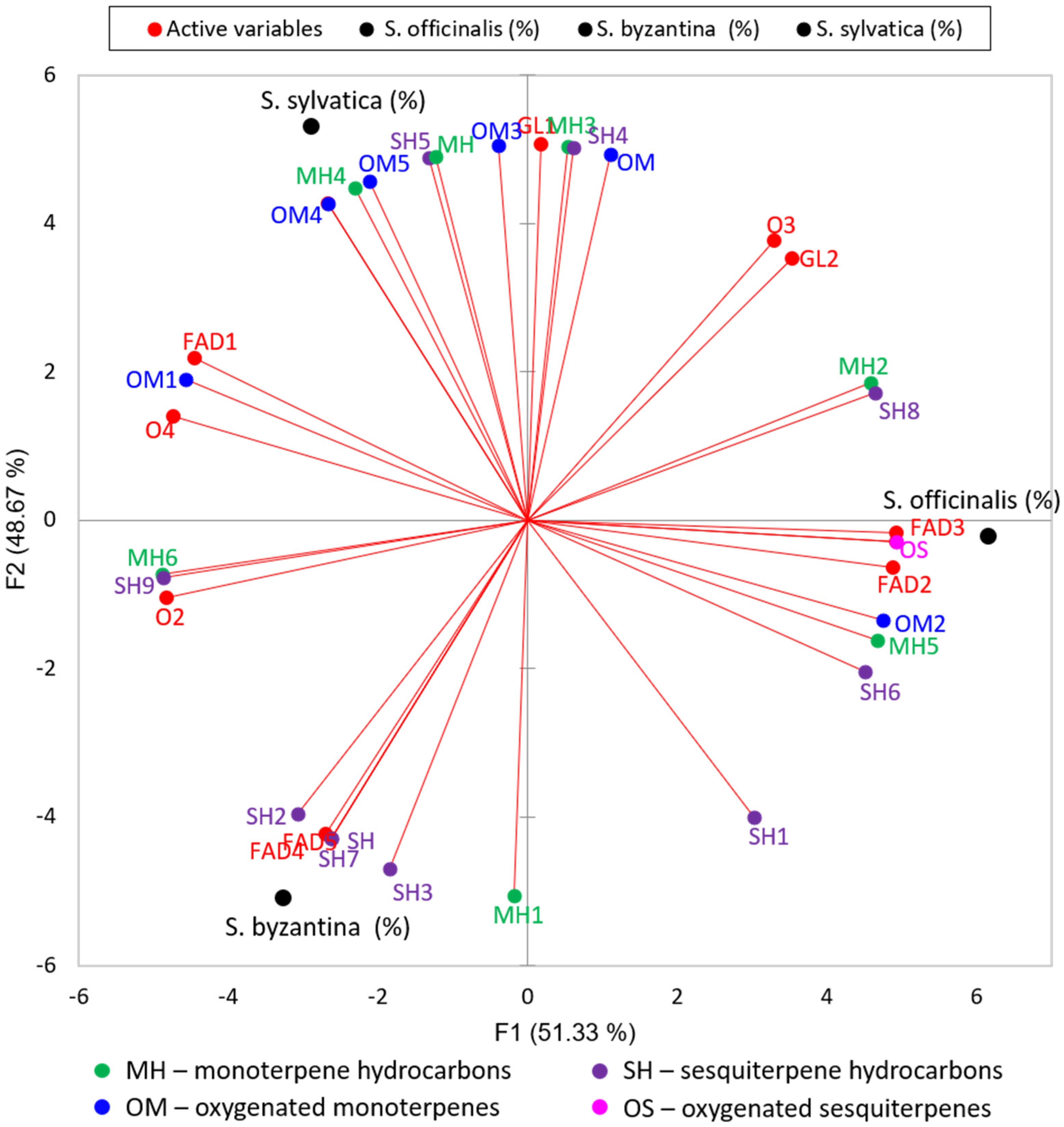 Plants 10 02710 g001