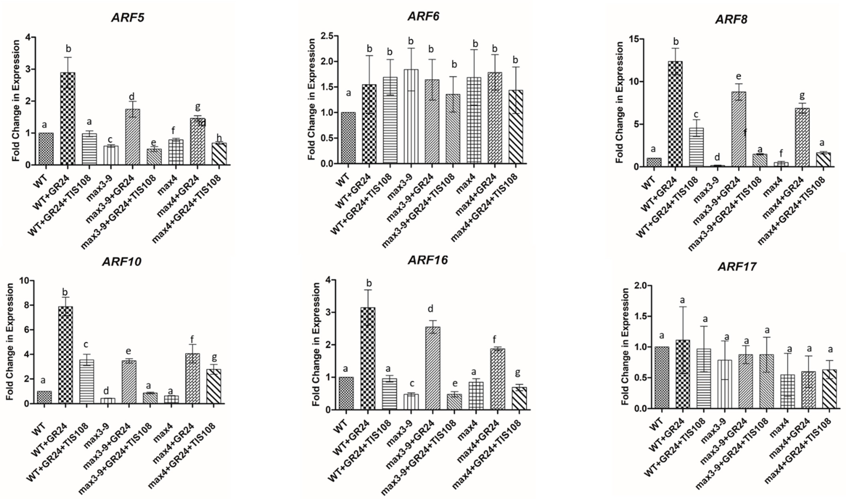 Plants 10 02720 g004 550