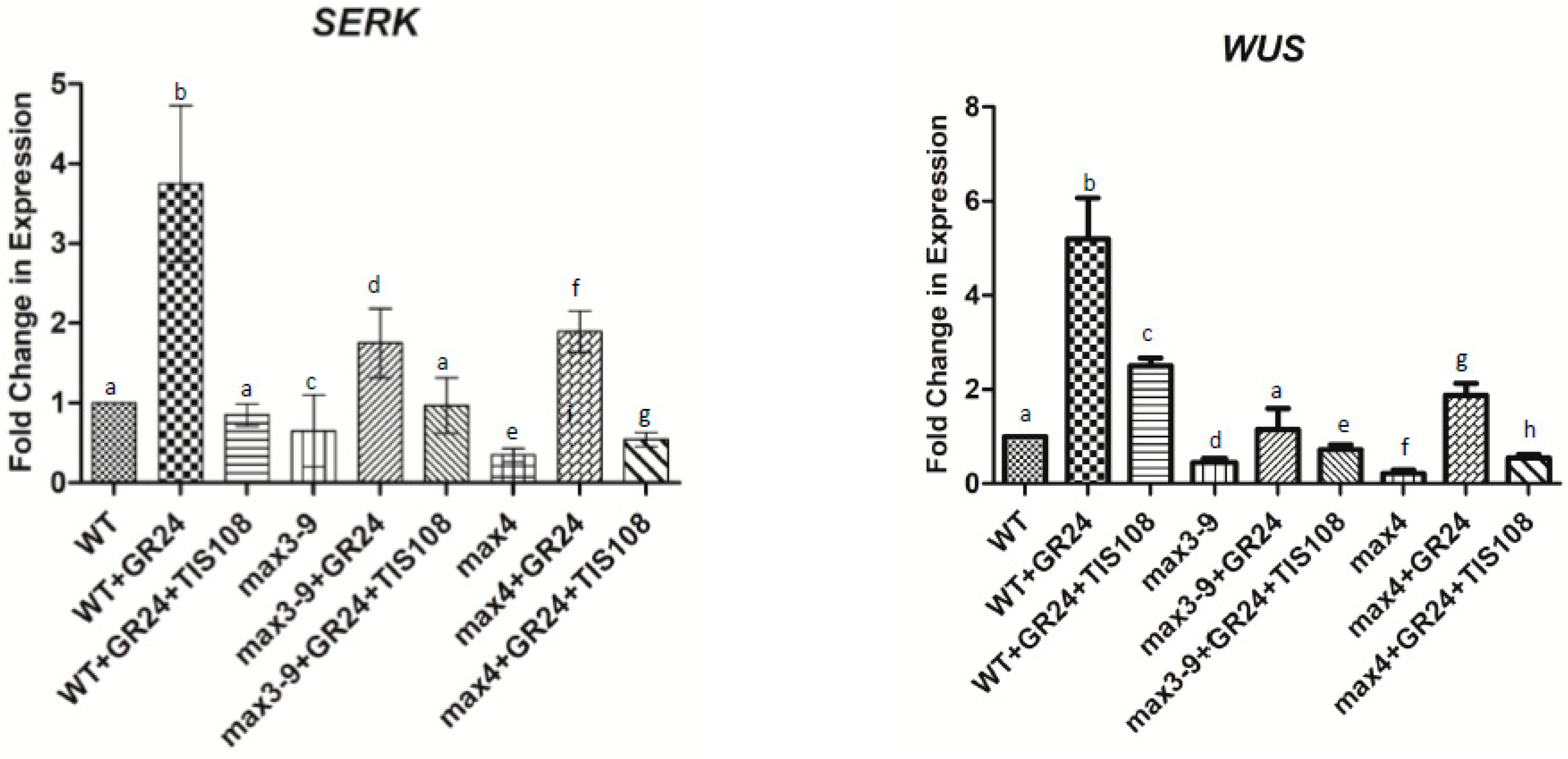 Plants 10 02720 g005 550