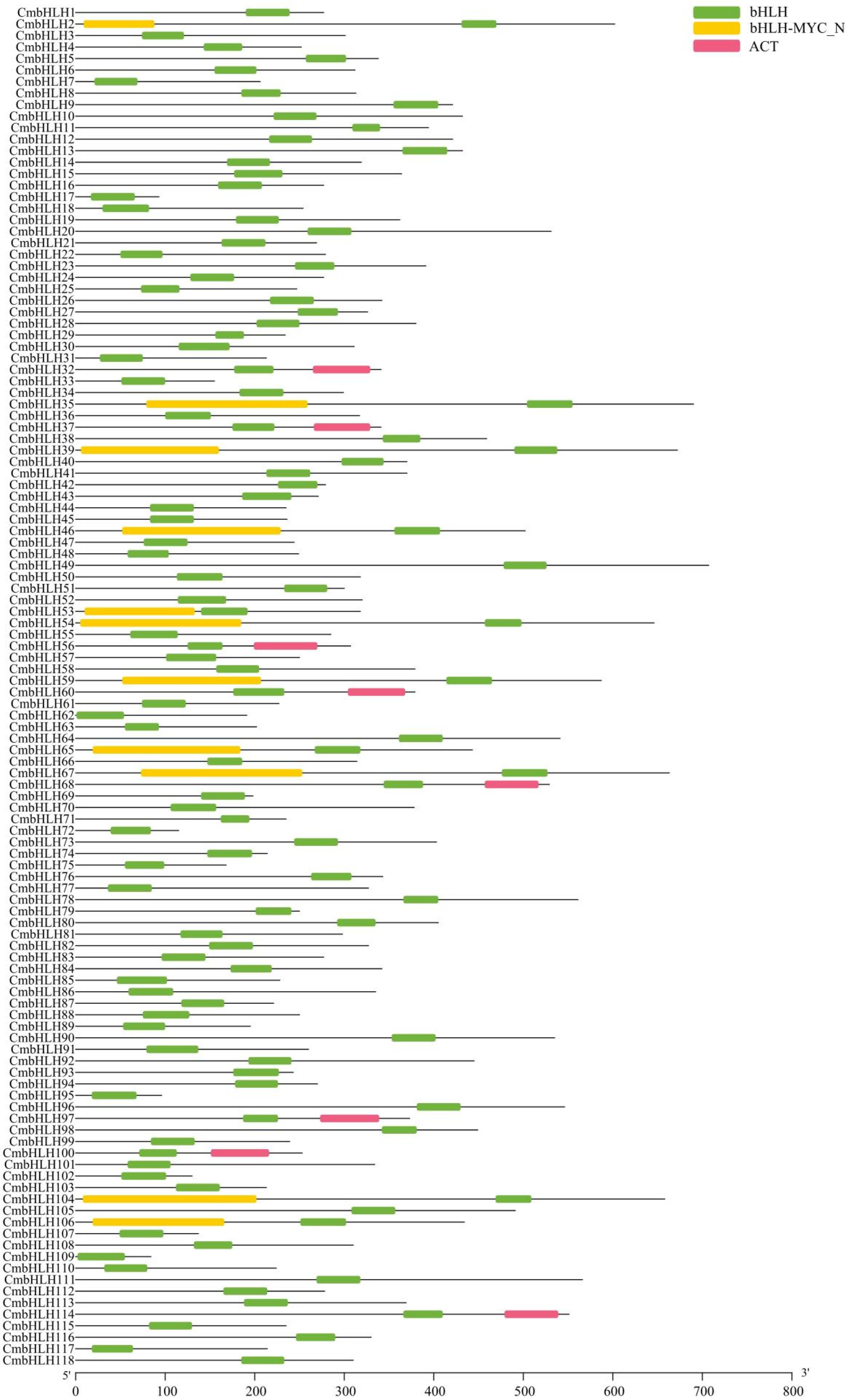 Plants 10 02721 g002