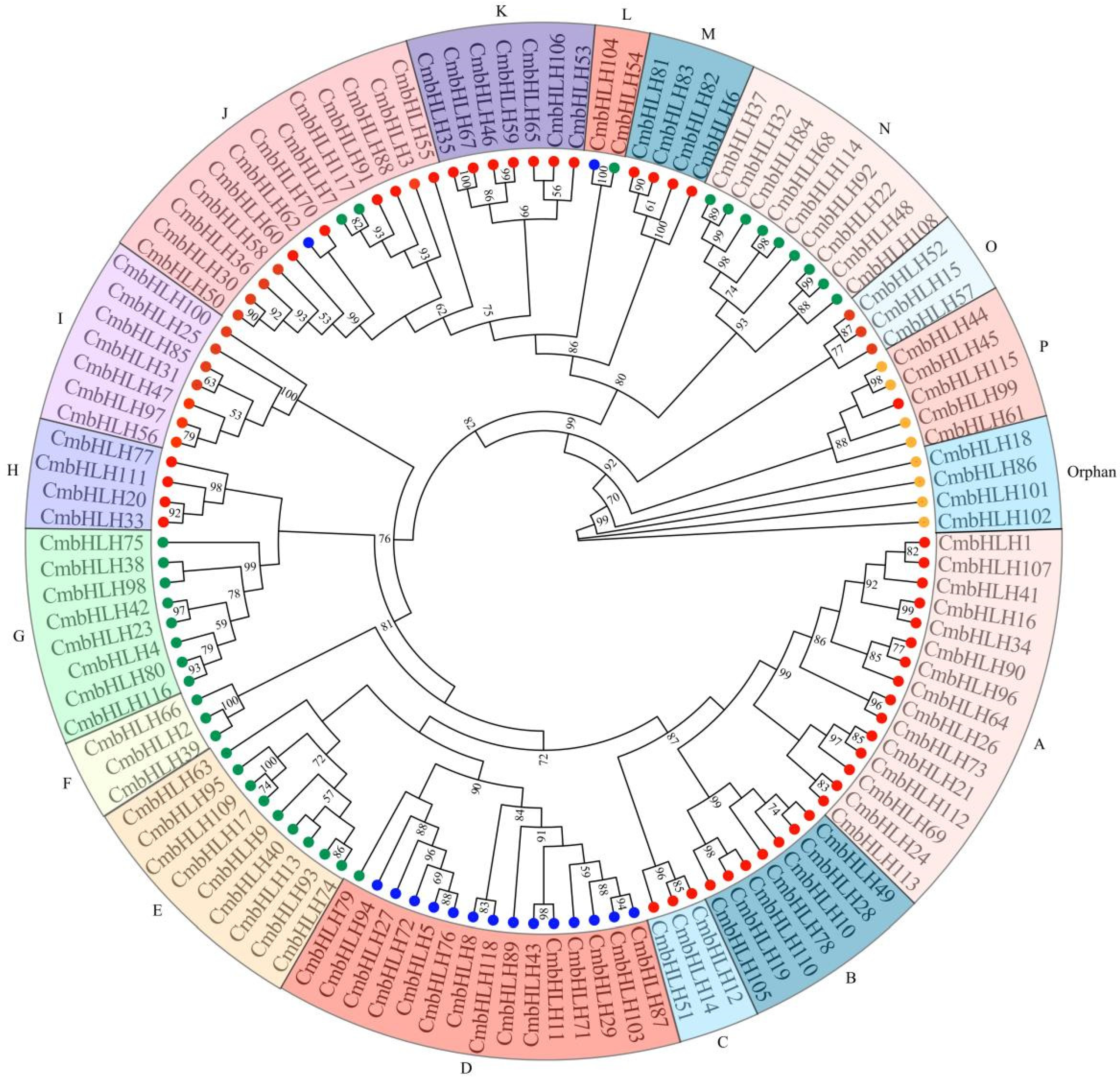 Plants 10 02721 g003