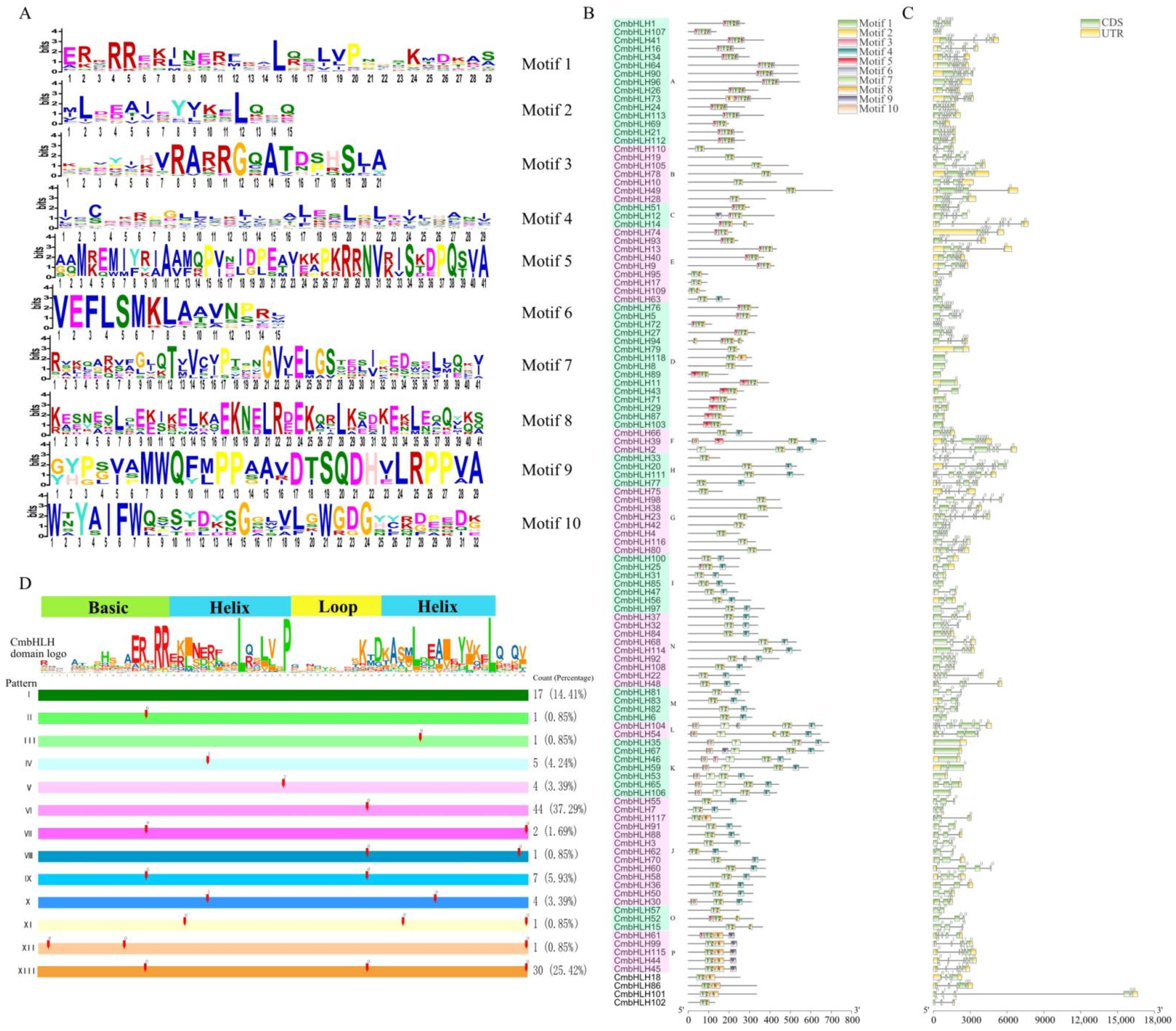 Plants 10 02721 g004