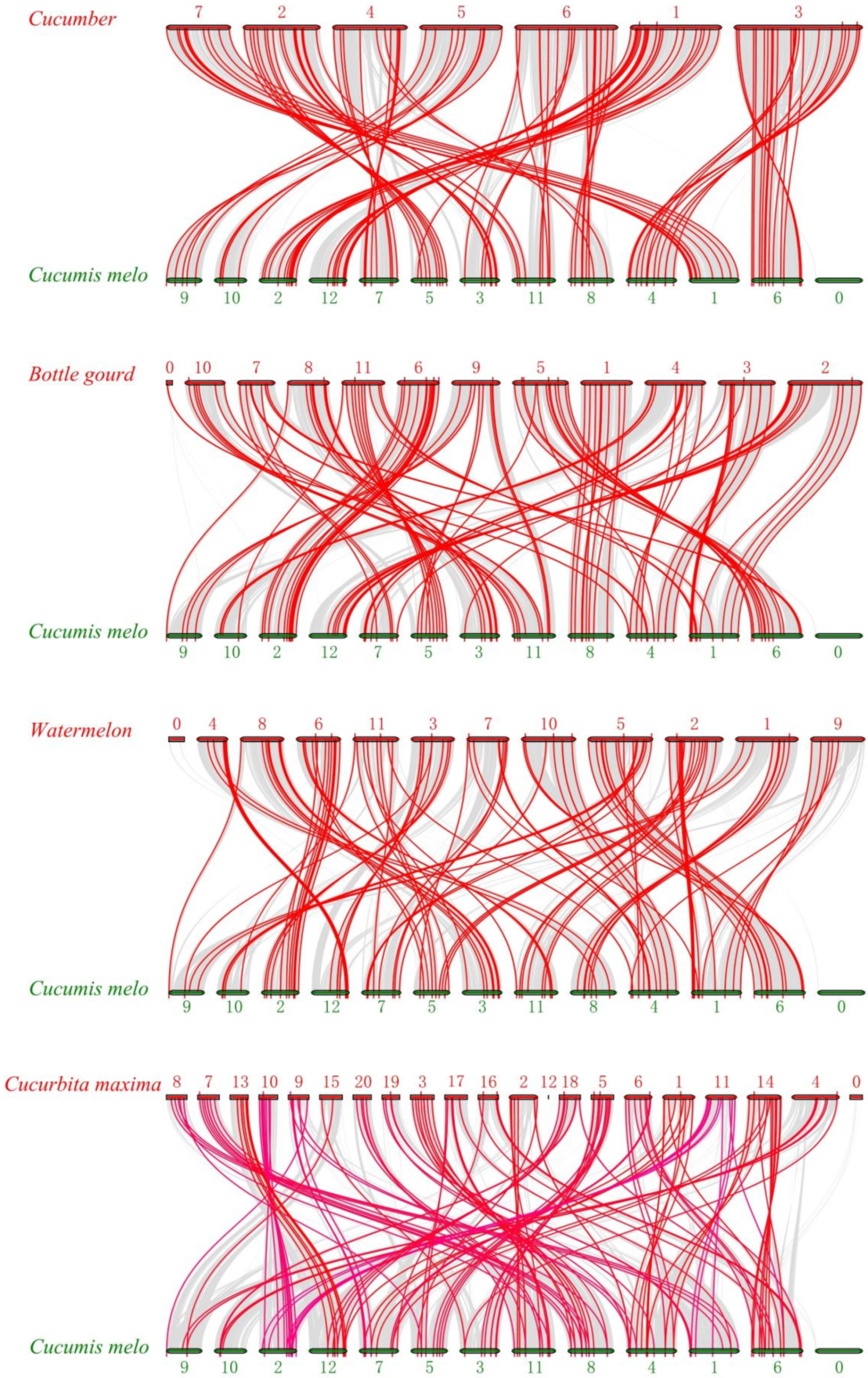 Plants 10 02721 g006
