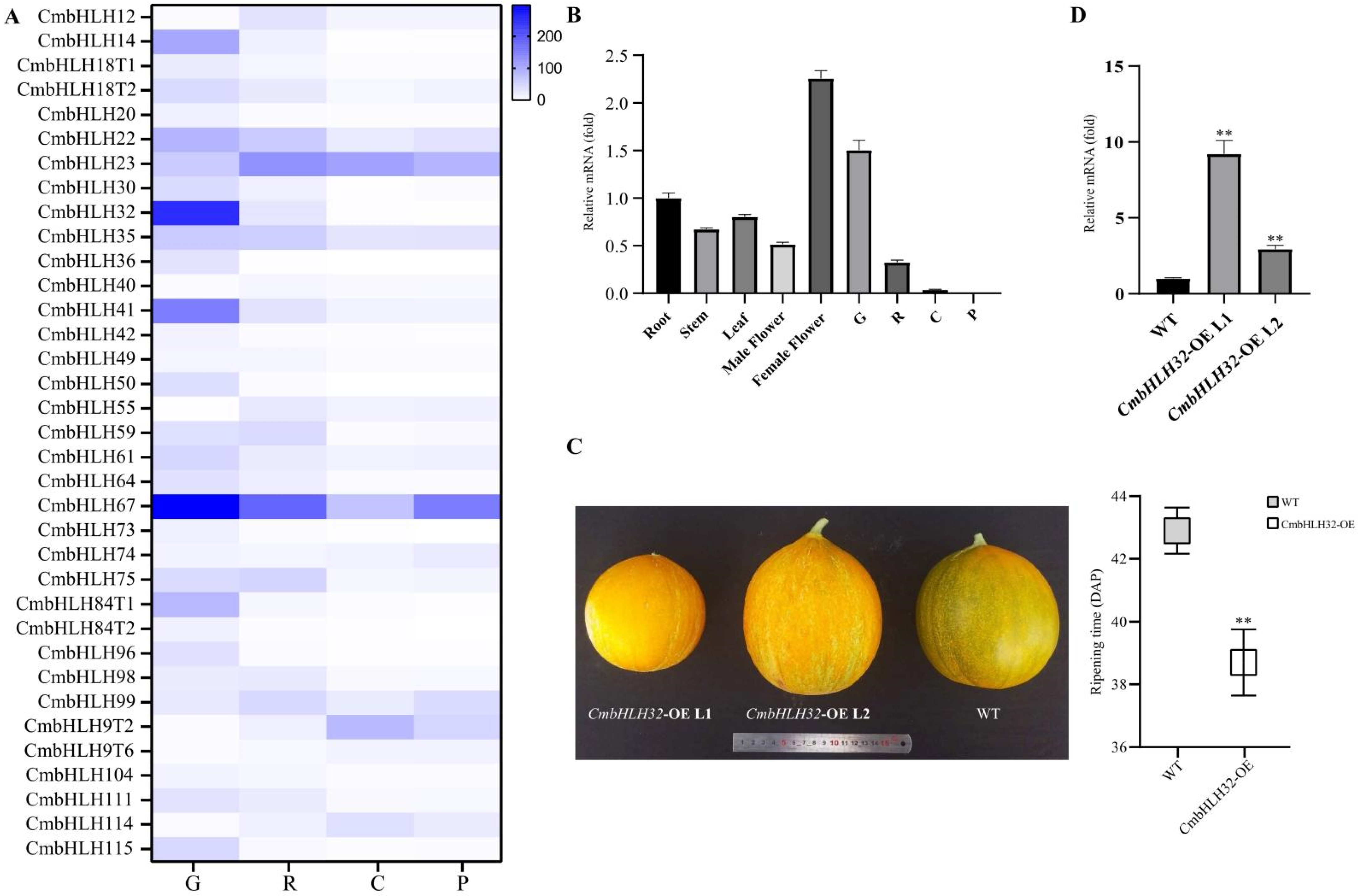 Plants 10 02721 g007