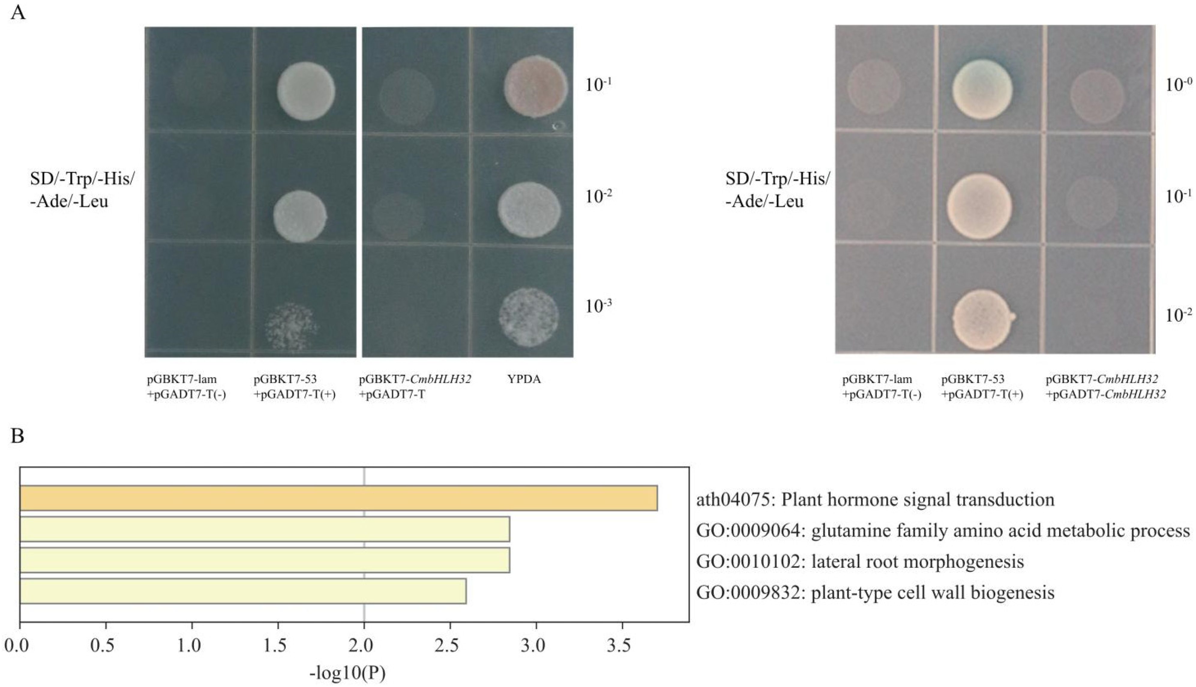 Plants 10 02721 g008