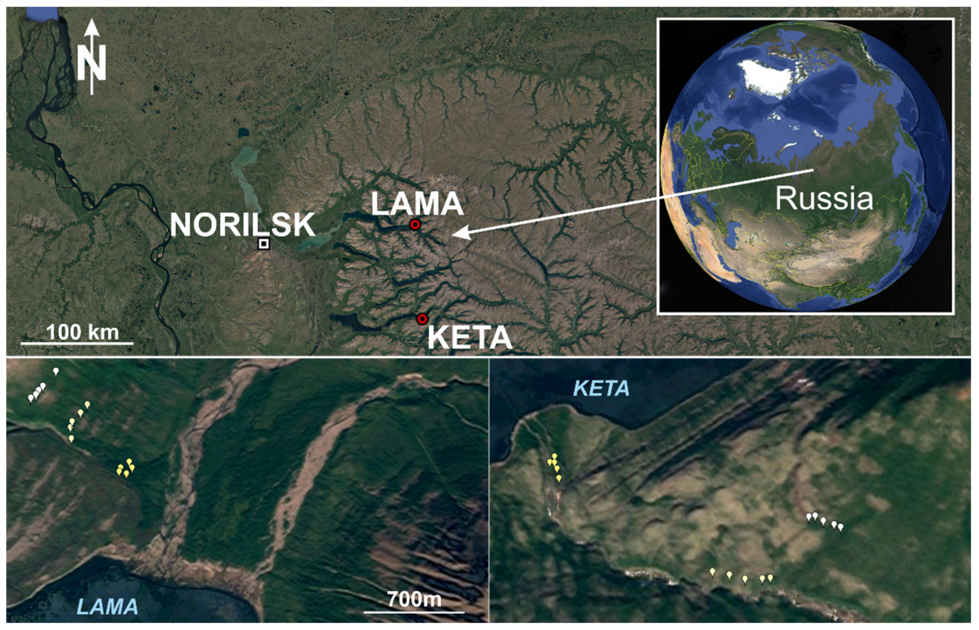 Plants 10 02722 g010