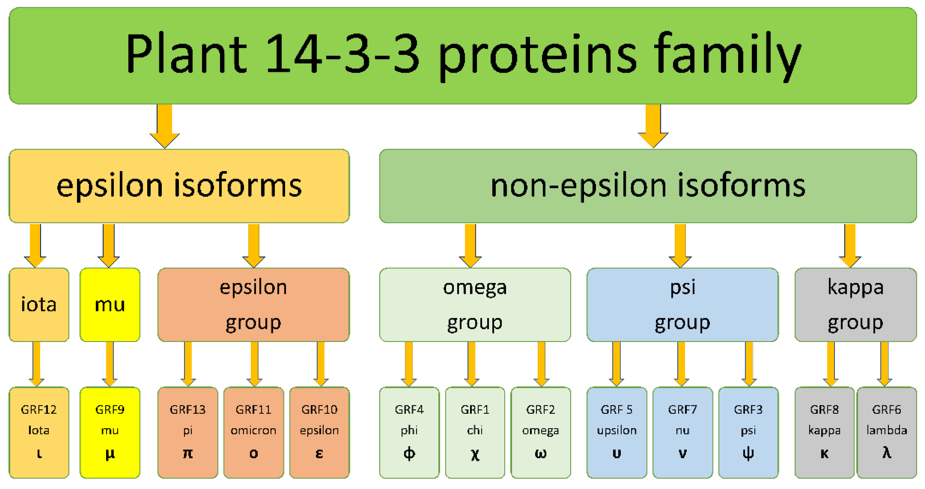 Plants 10 02724 g002 Plants 10 02724 g002
