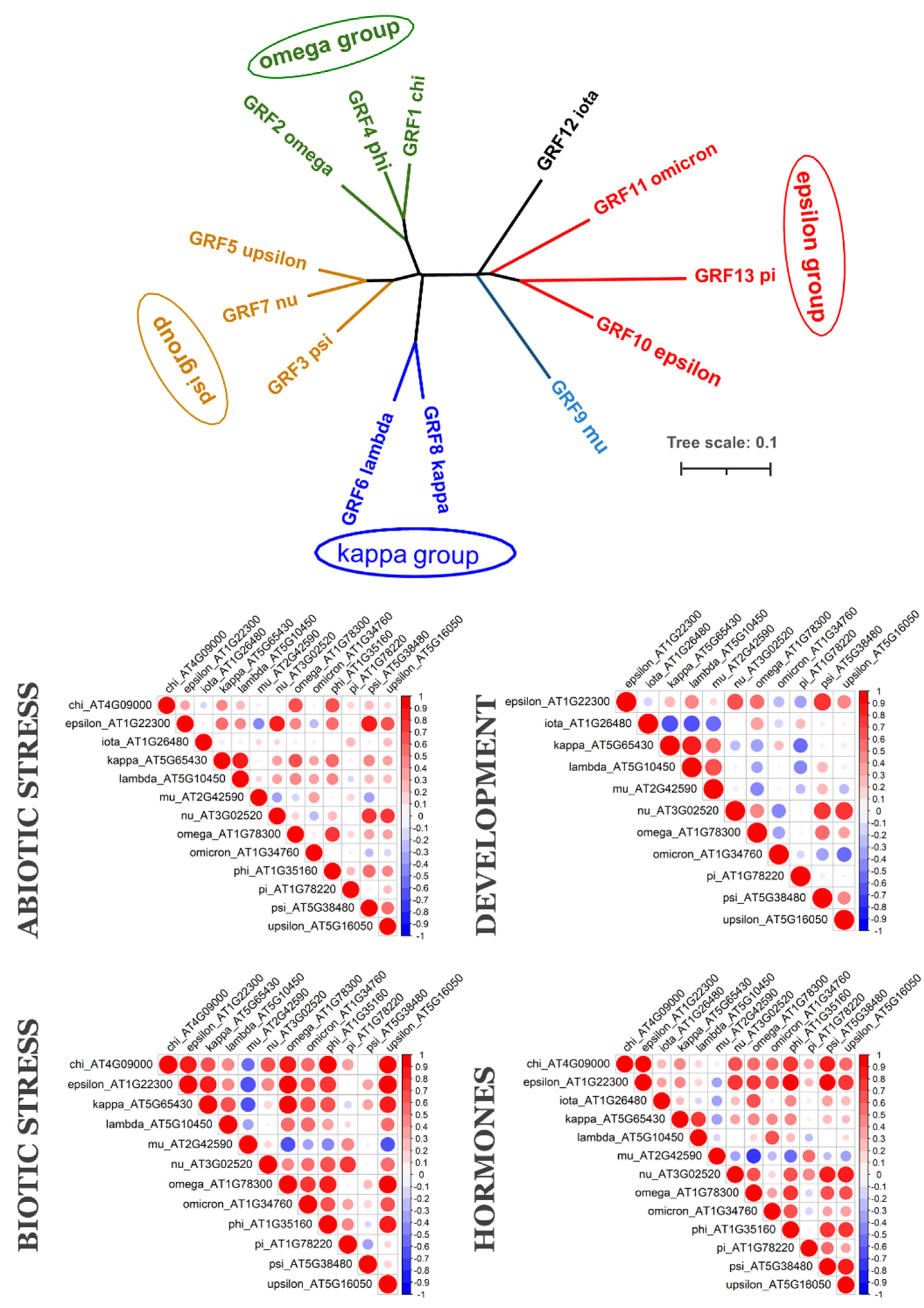 Plants 10 02724 g003 Plants 10 02724 g003