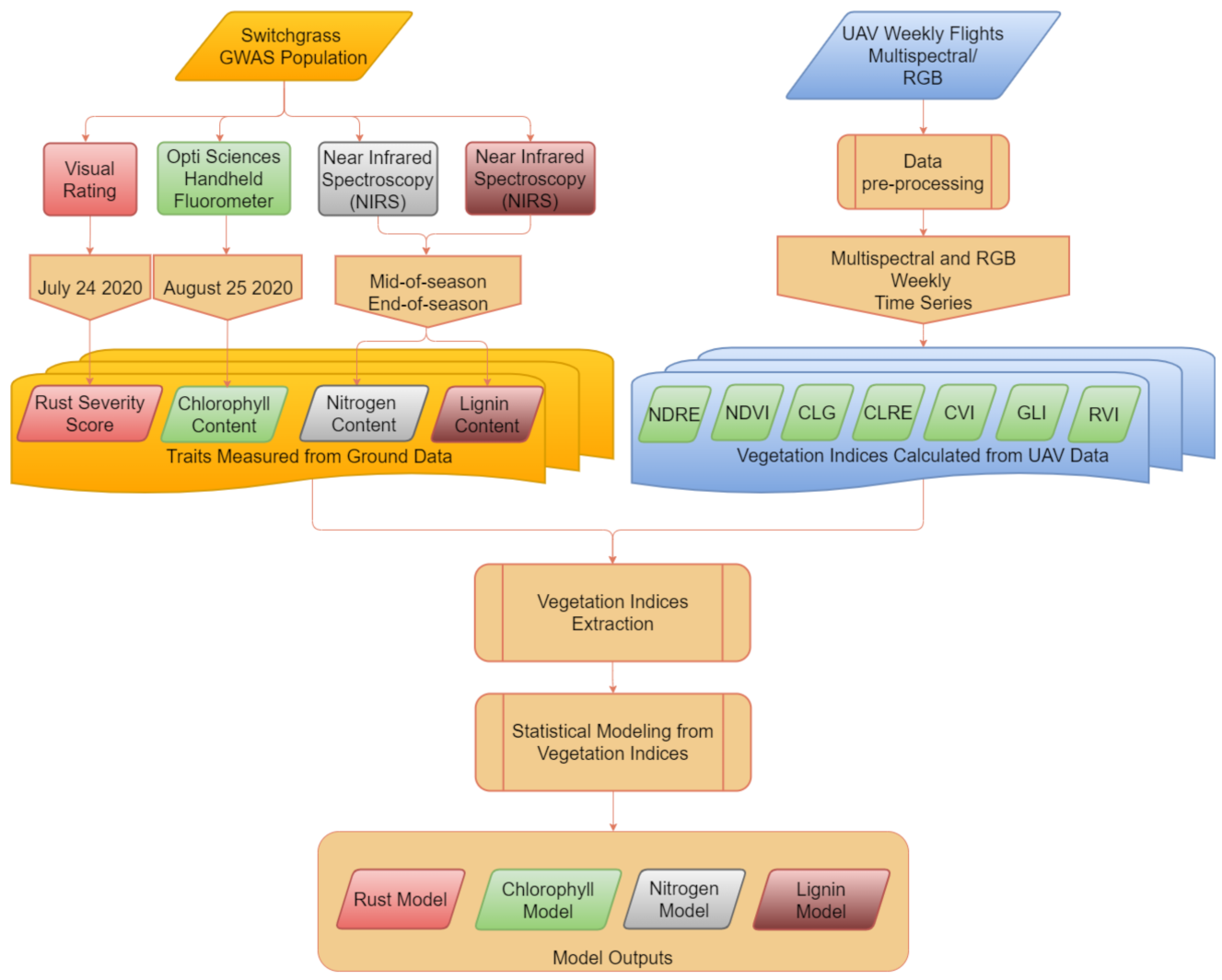 Plants 10 02726 g005 Plants 10 02726 g005