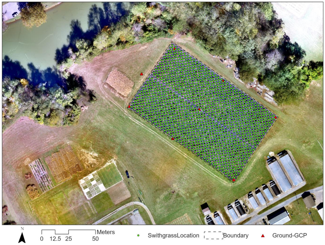 Plants 10 02726 g006 Plants 10 02726 g006