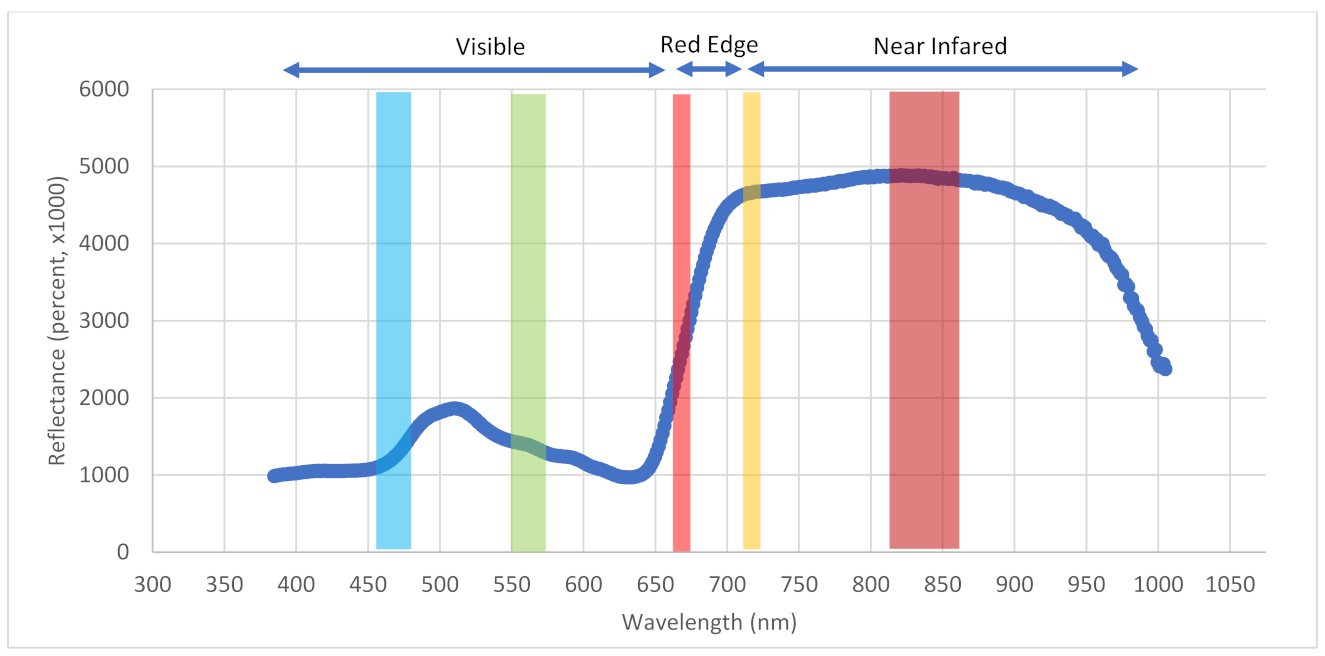 Plants 10 02726 g007 Plants 10 02726 g007