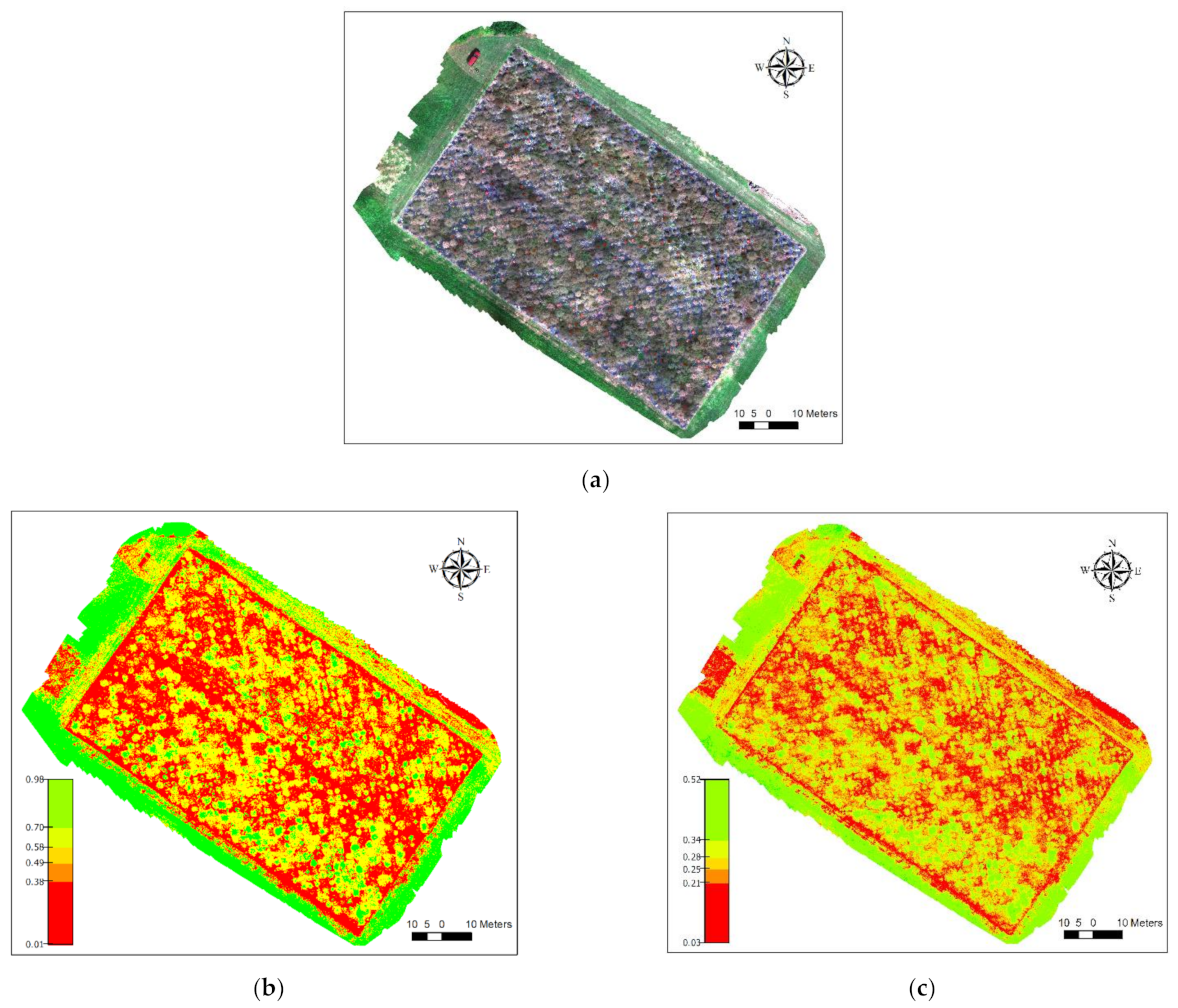Plants 10 02726 g009 Plants 10 02726 g009