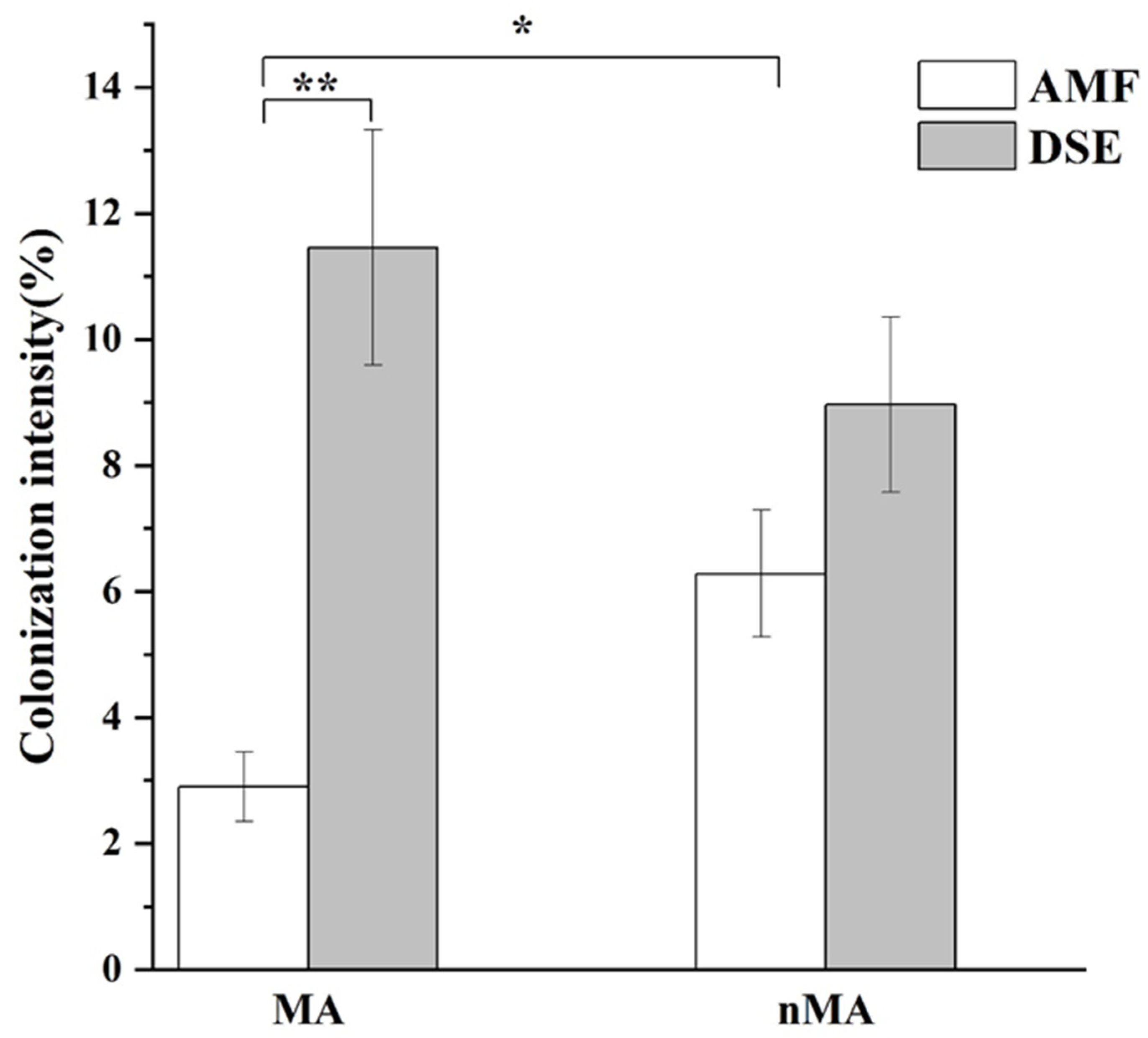 Plants 10 02731 g002