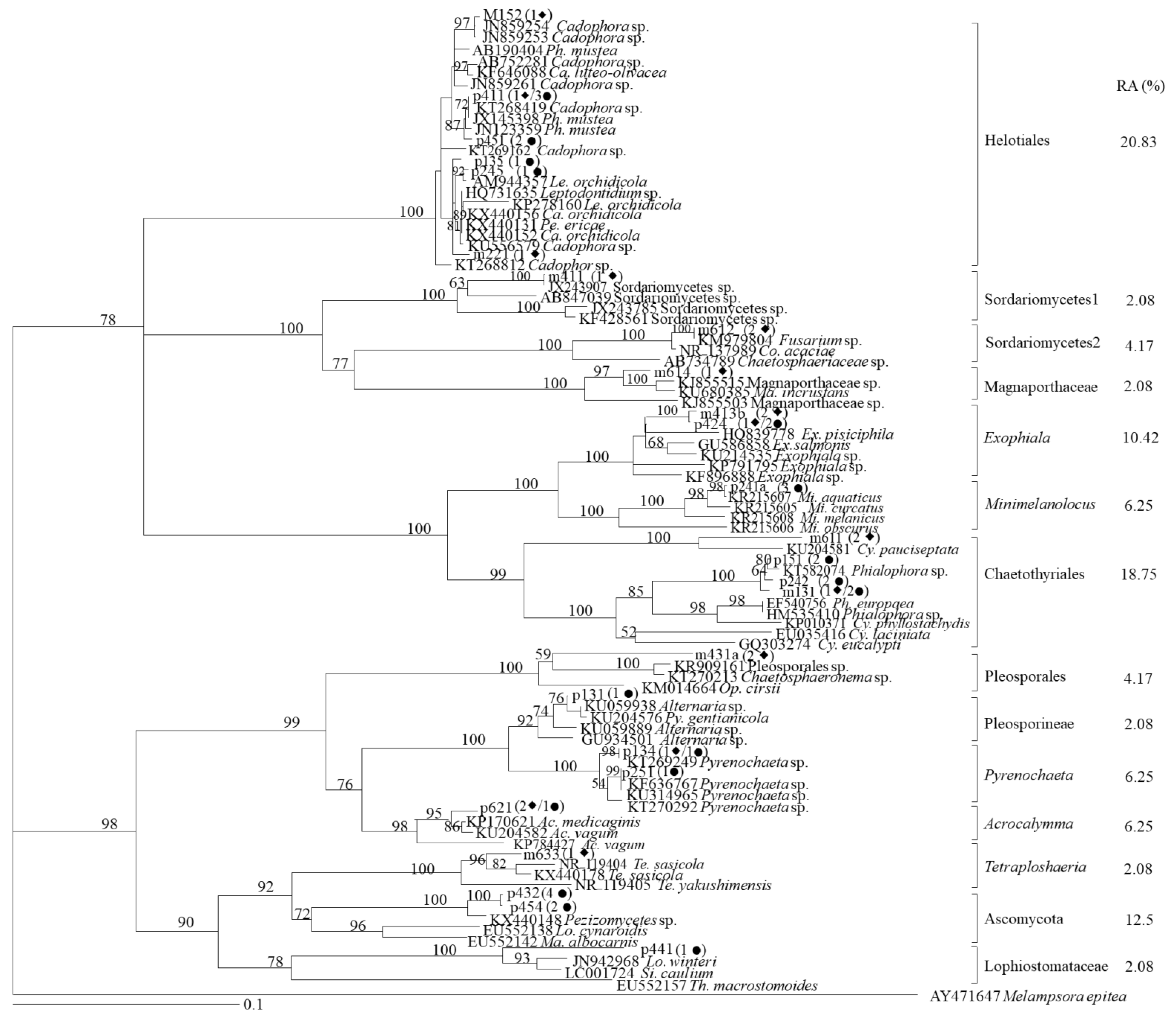 Plants 10 02731 g003