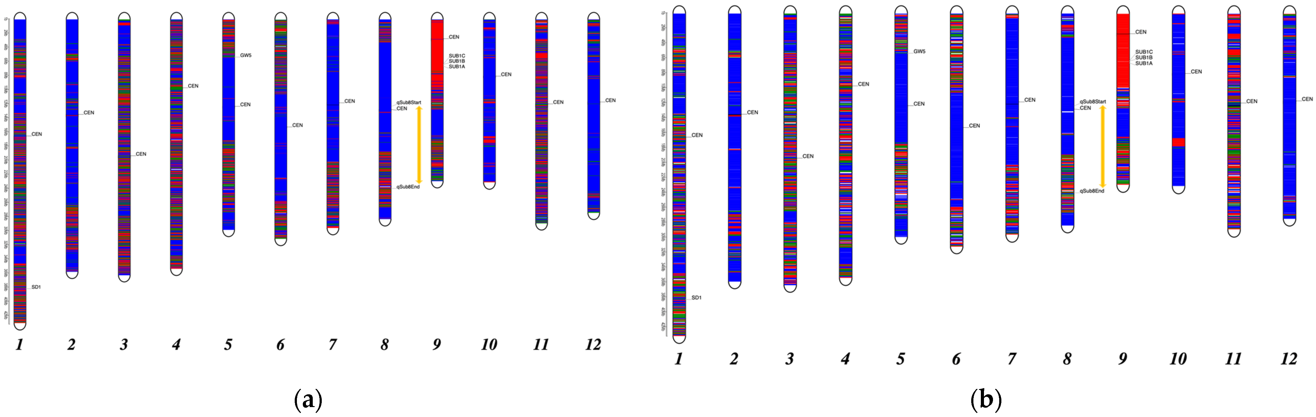 Plants 10 02740 g002 Plants 10 02740 g002