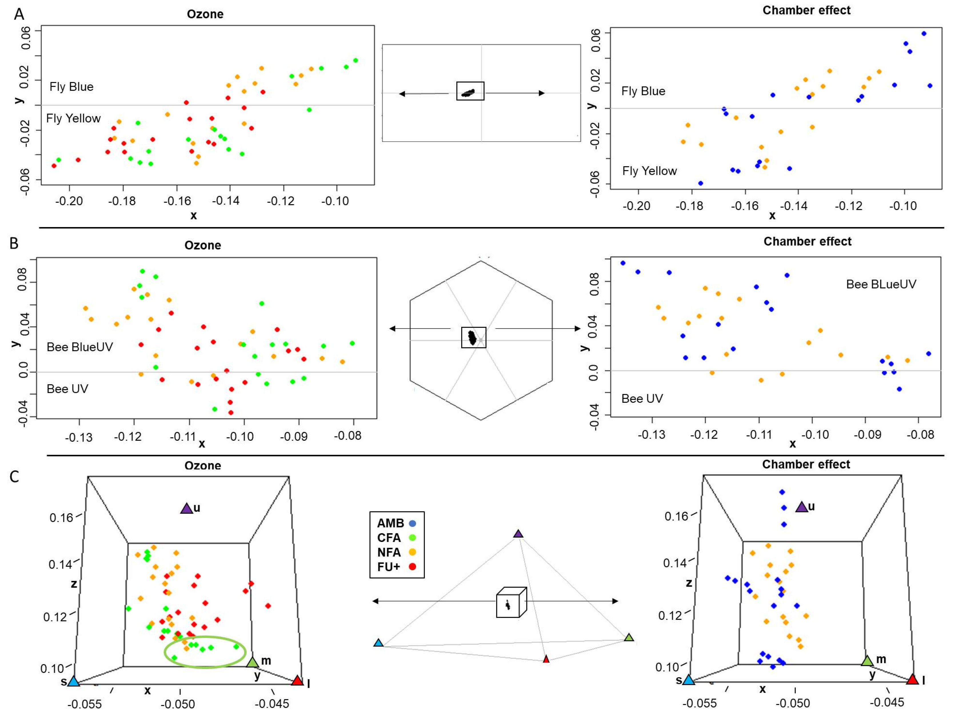 Plants 10 02750 g004