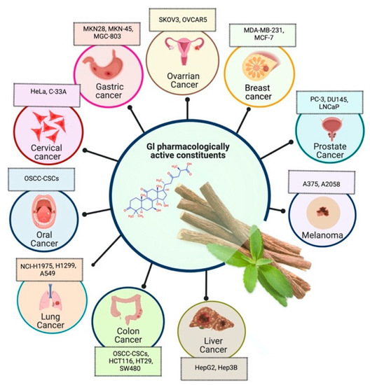 Why explore Dipsacus root benefits and uses? This knowledge can improve your daily health.