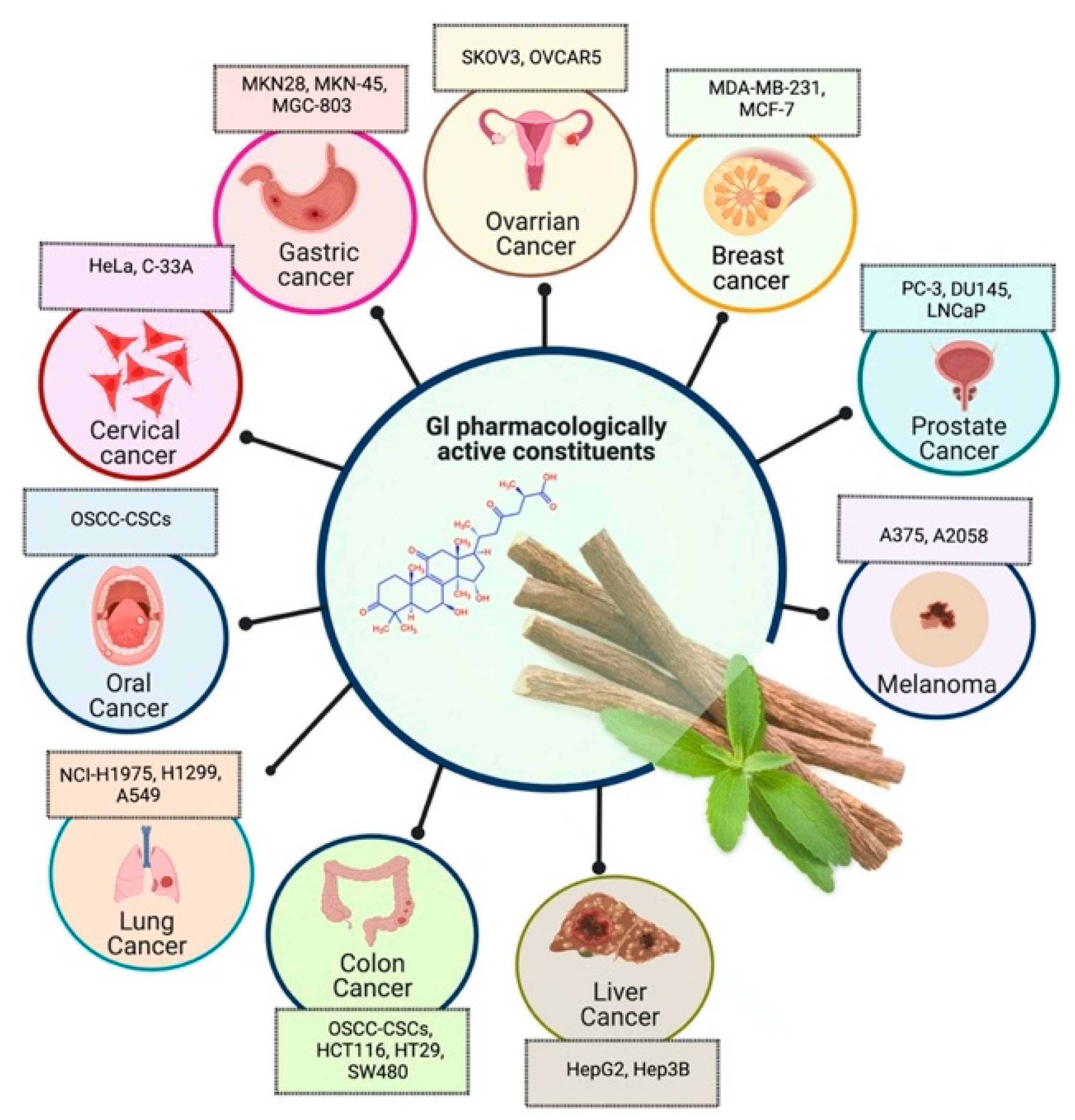 Plants Free FullText Glycyrrhiza glabra (Licorice) A