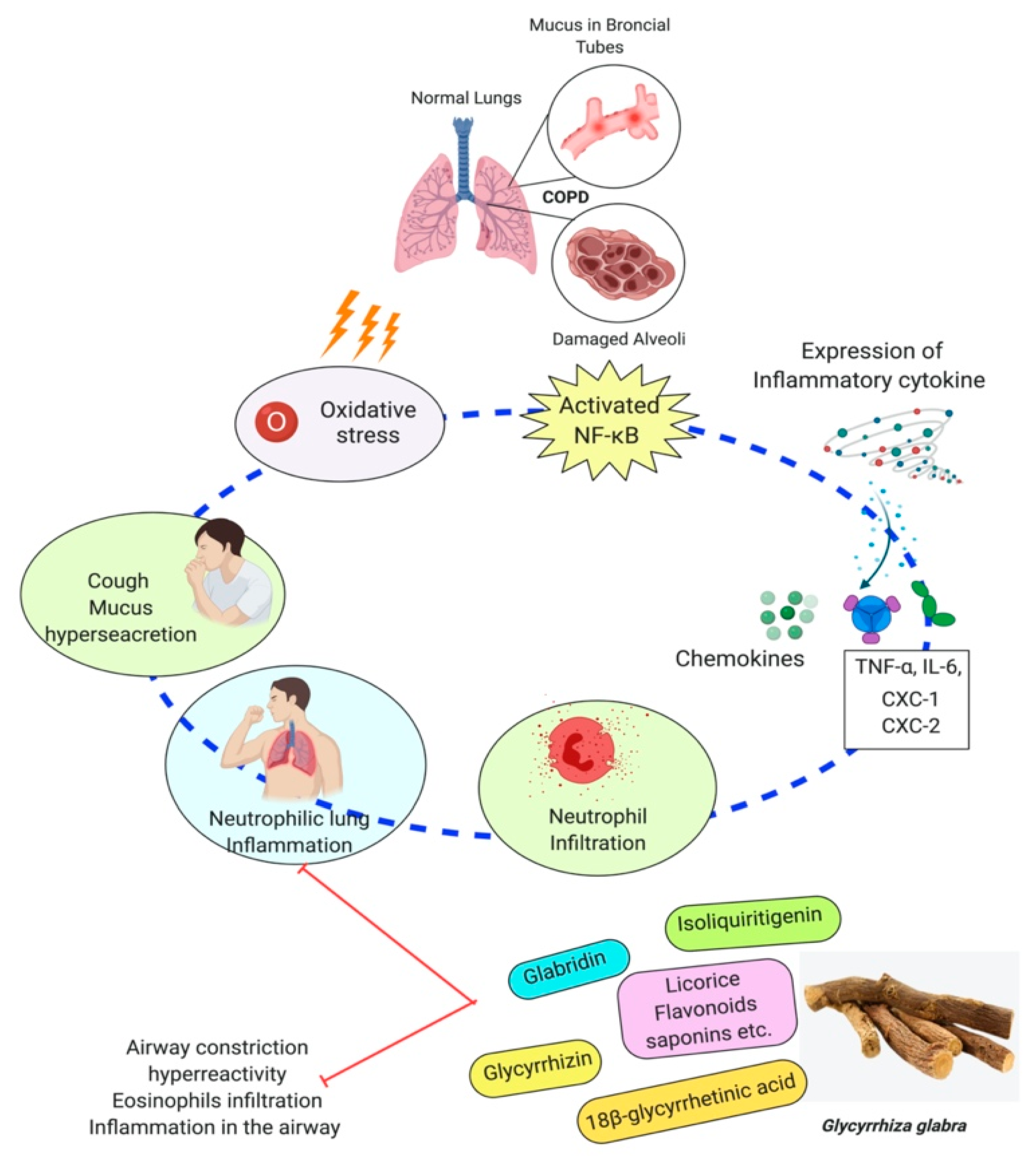 Plants 10 02751 g005