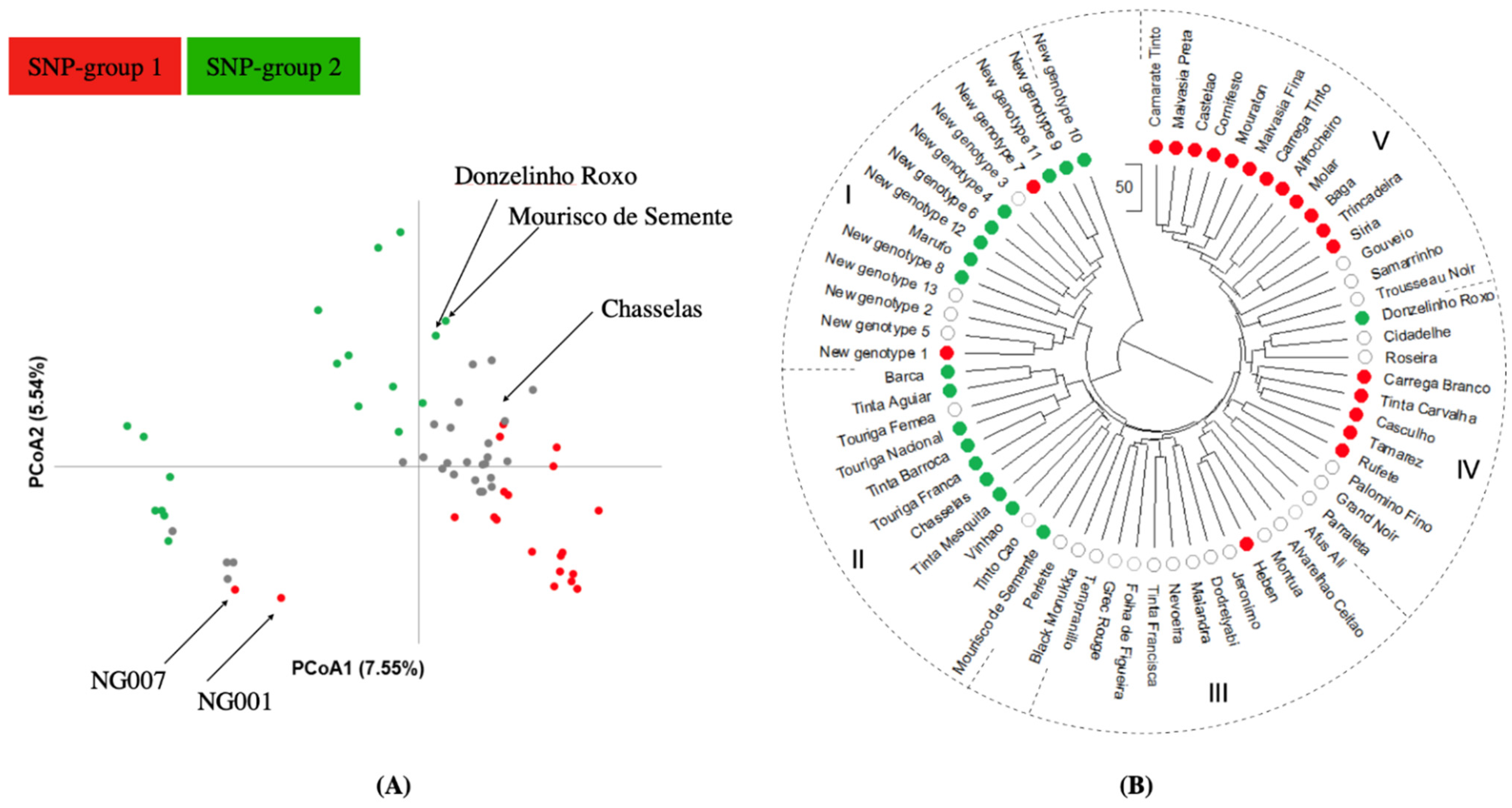 Plants 10 02755 g004 550
