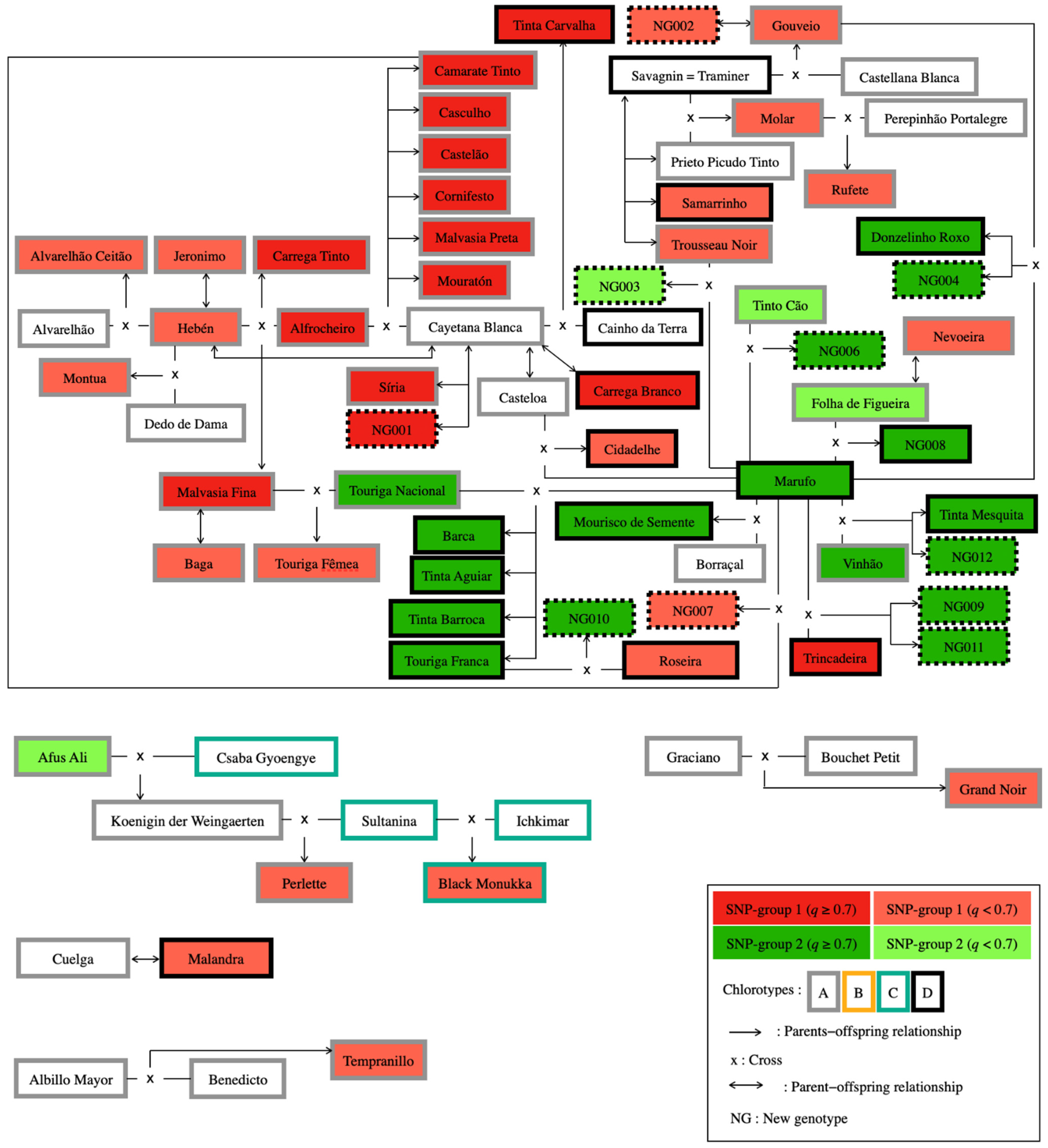 Plants 10 02755 g005 550