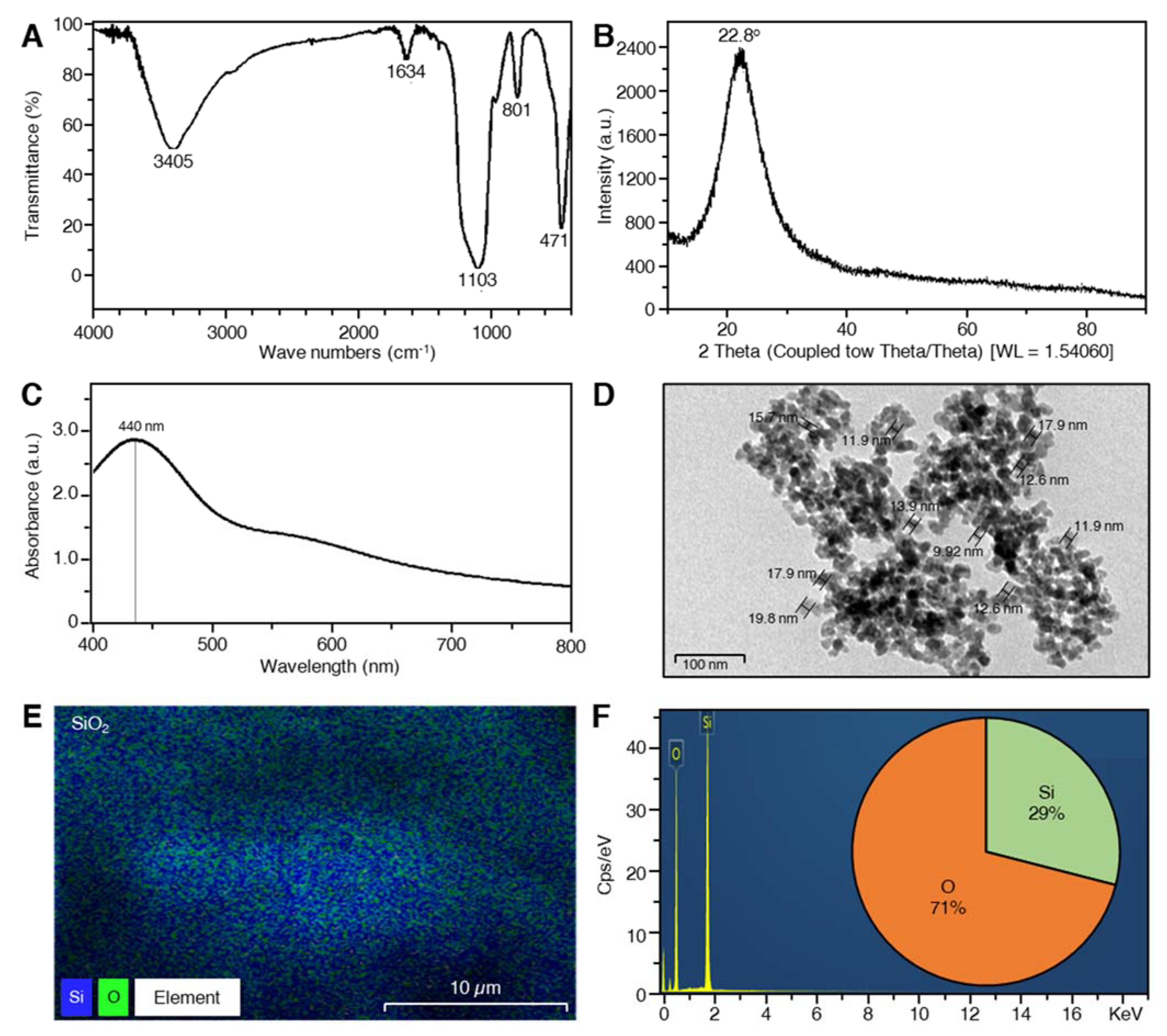 Plants 10 02758 g001
