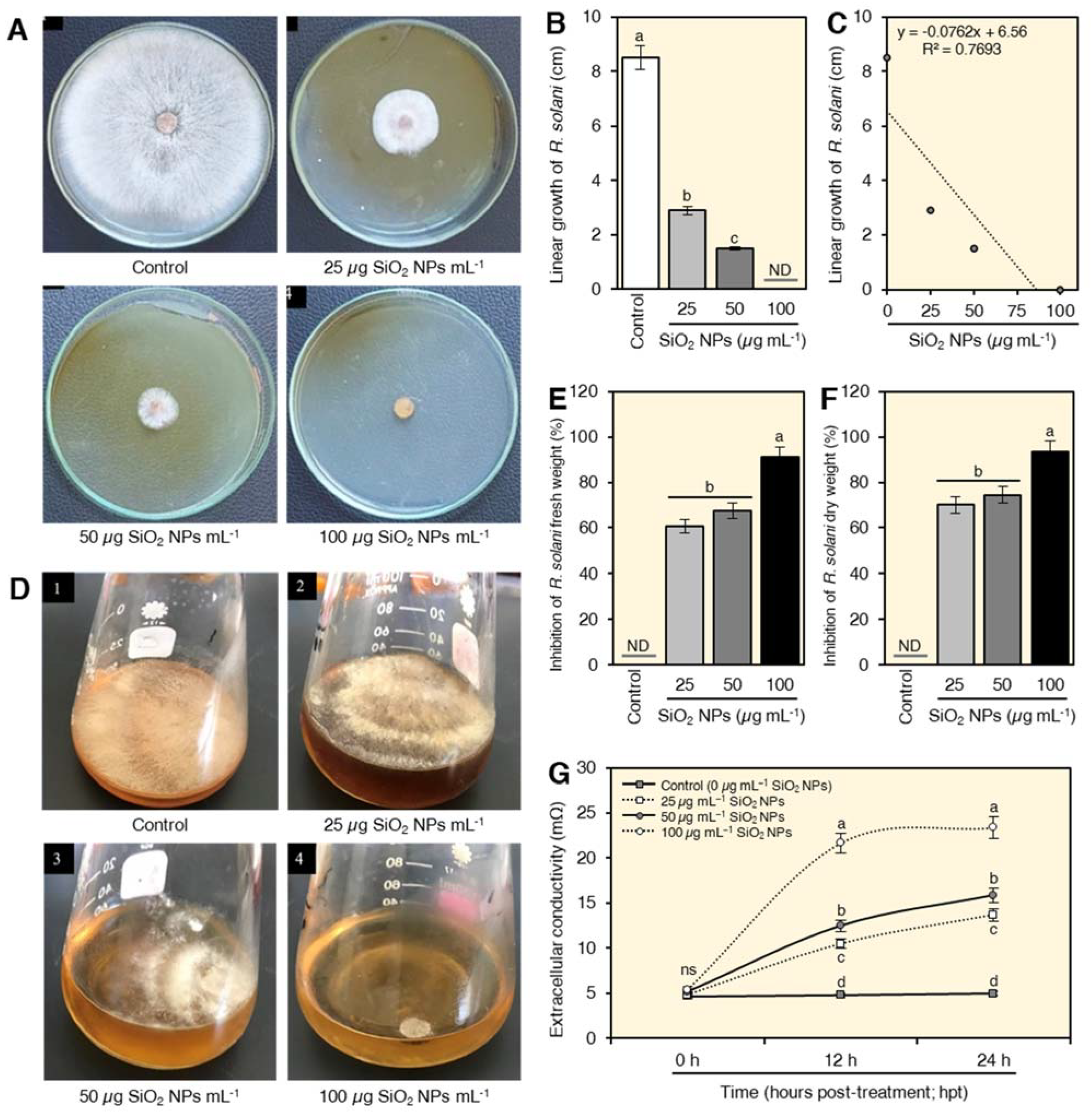 Plants 10 02758 g003
