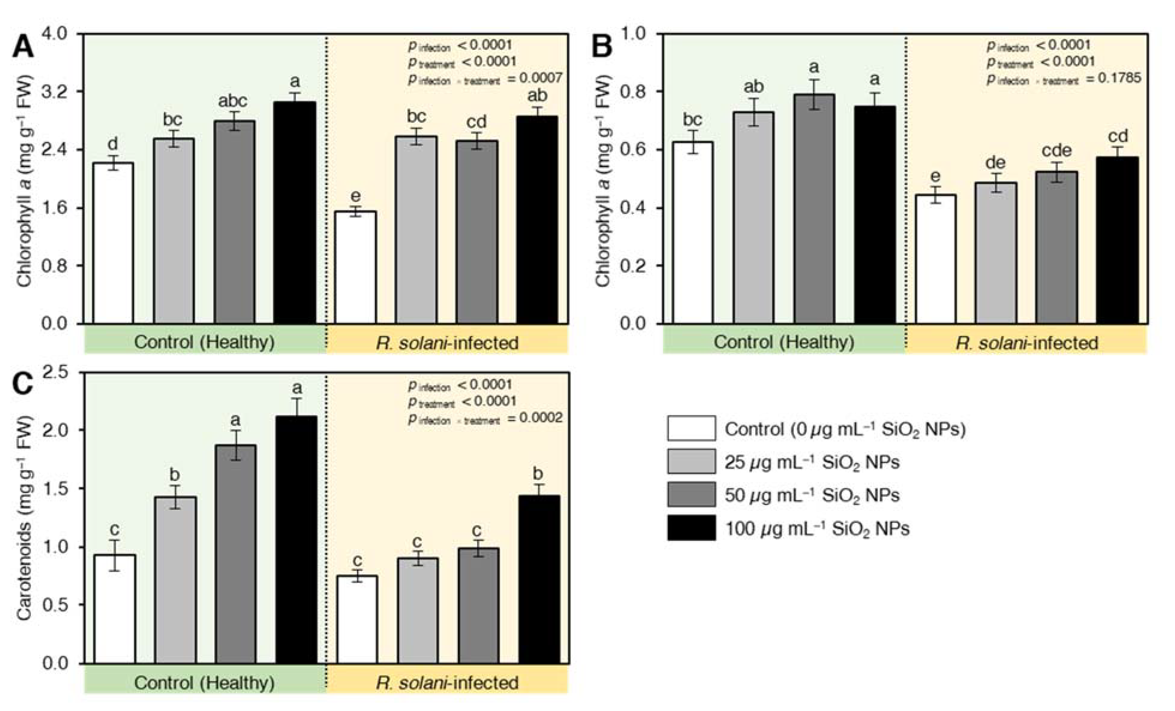 Plants 10 02758 g006