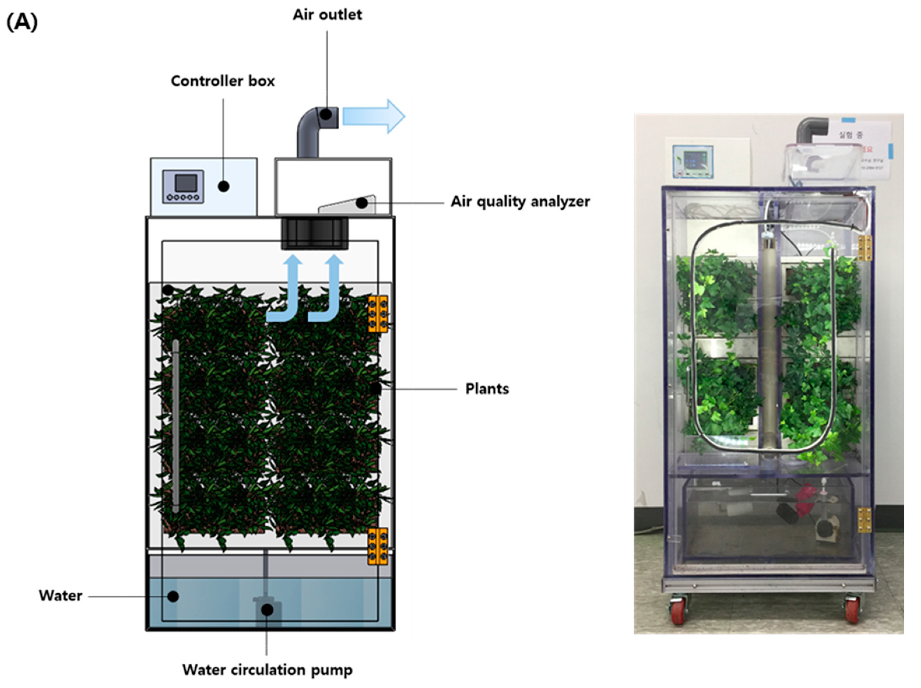 Plants 10 02761 g001a