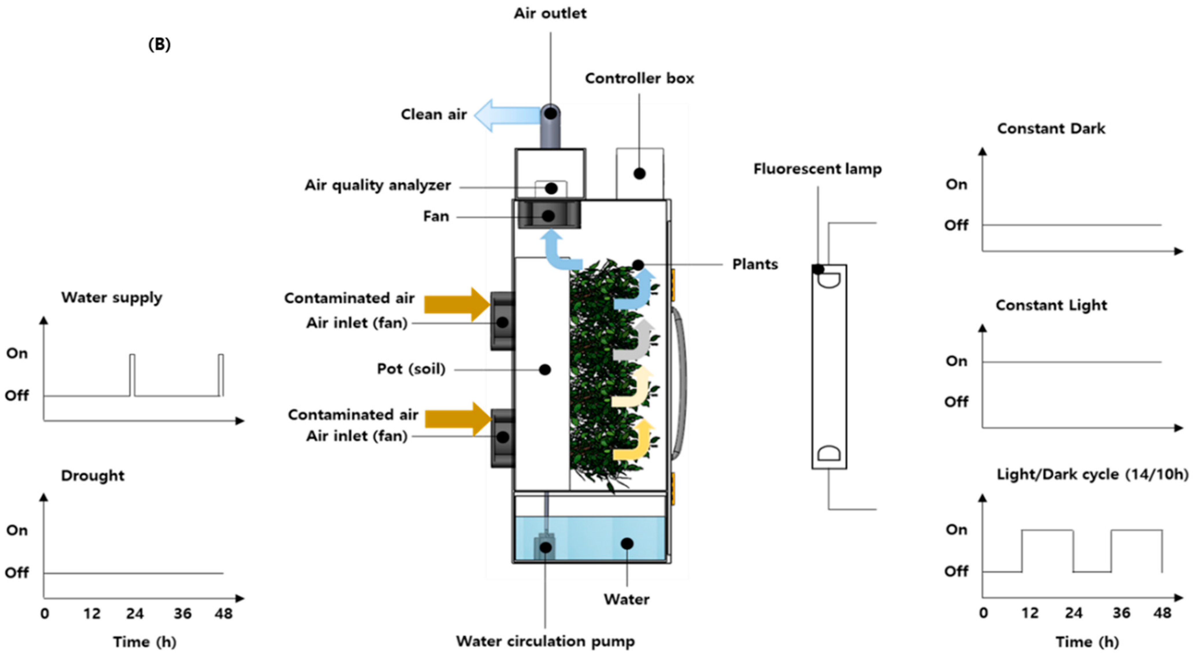 Plants 10 02761 g001b